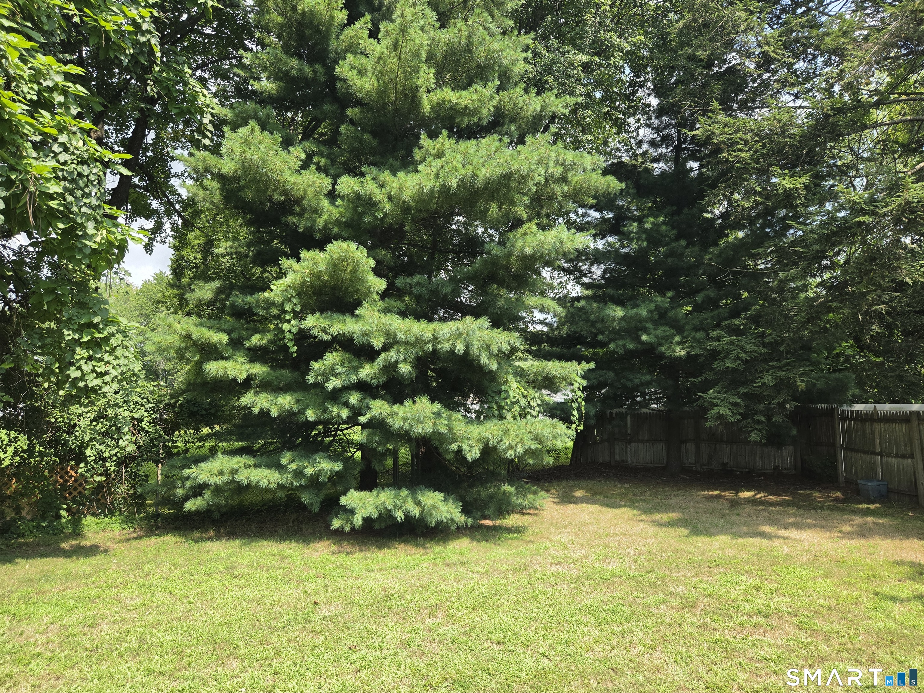 40 Suffolk Drive photo 12