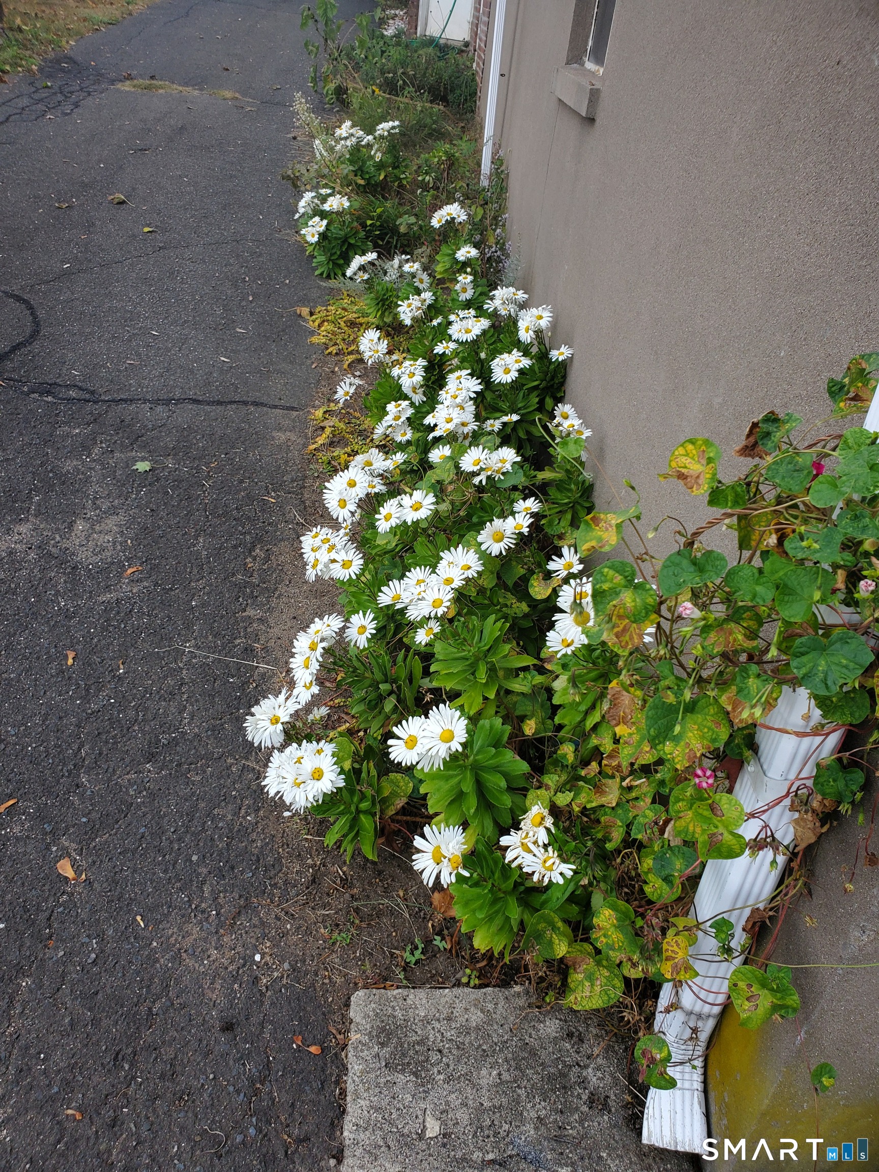 243 Harbor Street photo 24