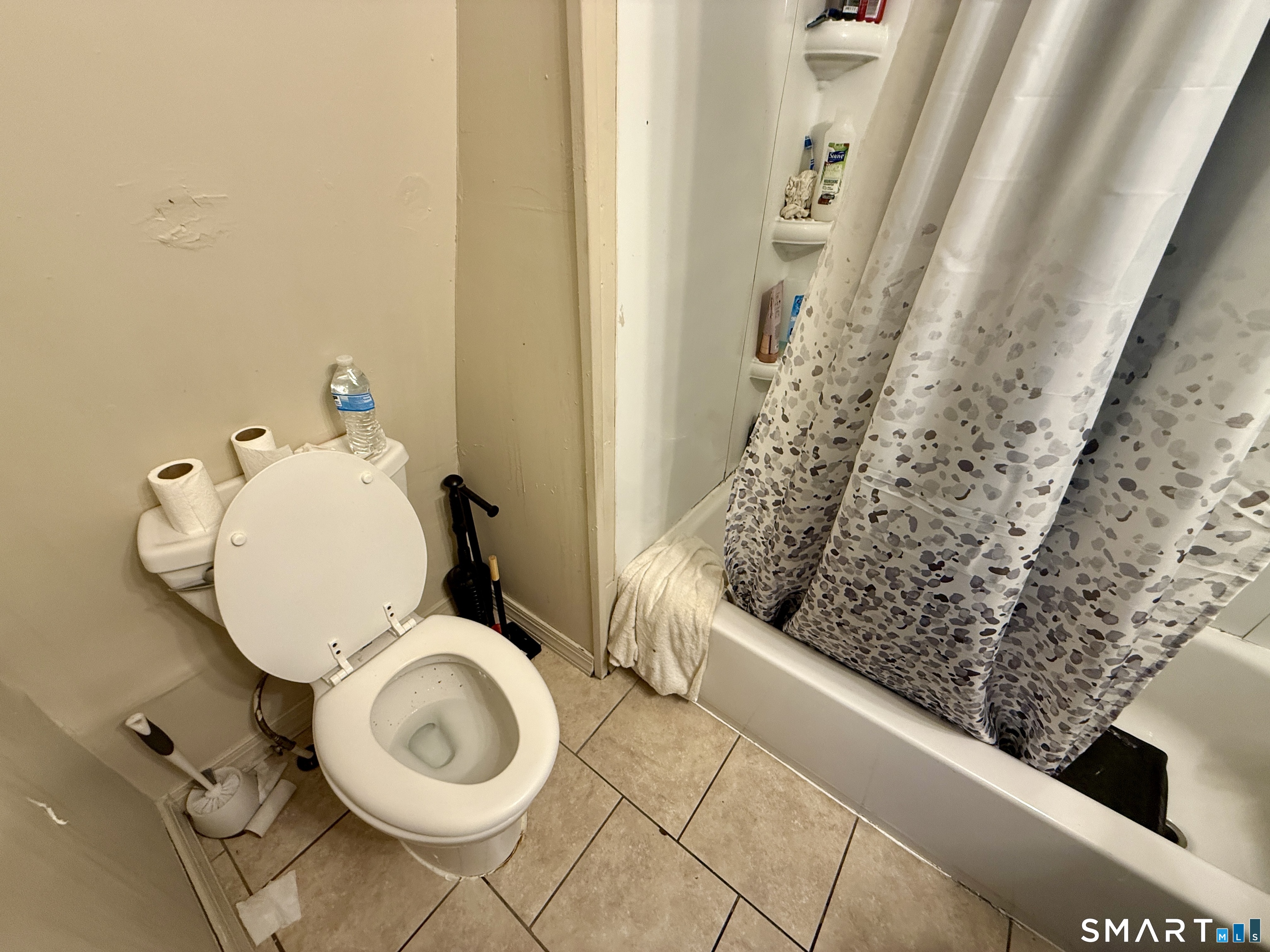 387 Colony Street photo 23