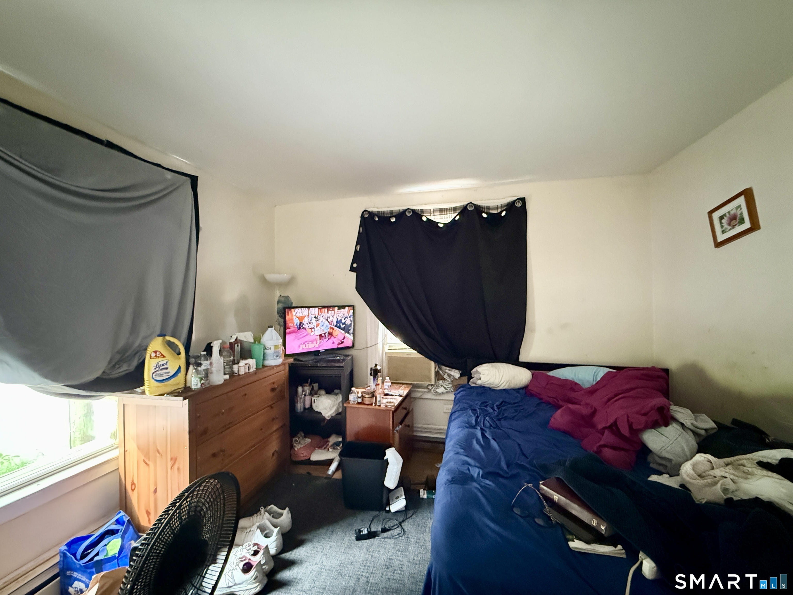 387 Colony Street photo 15
