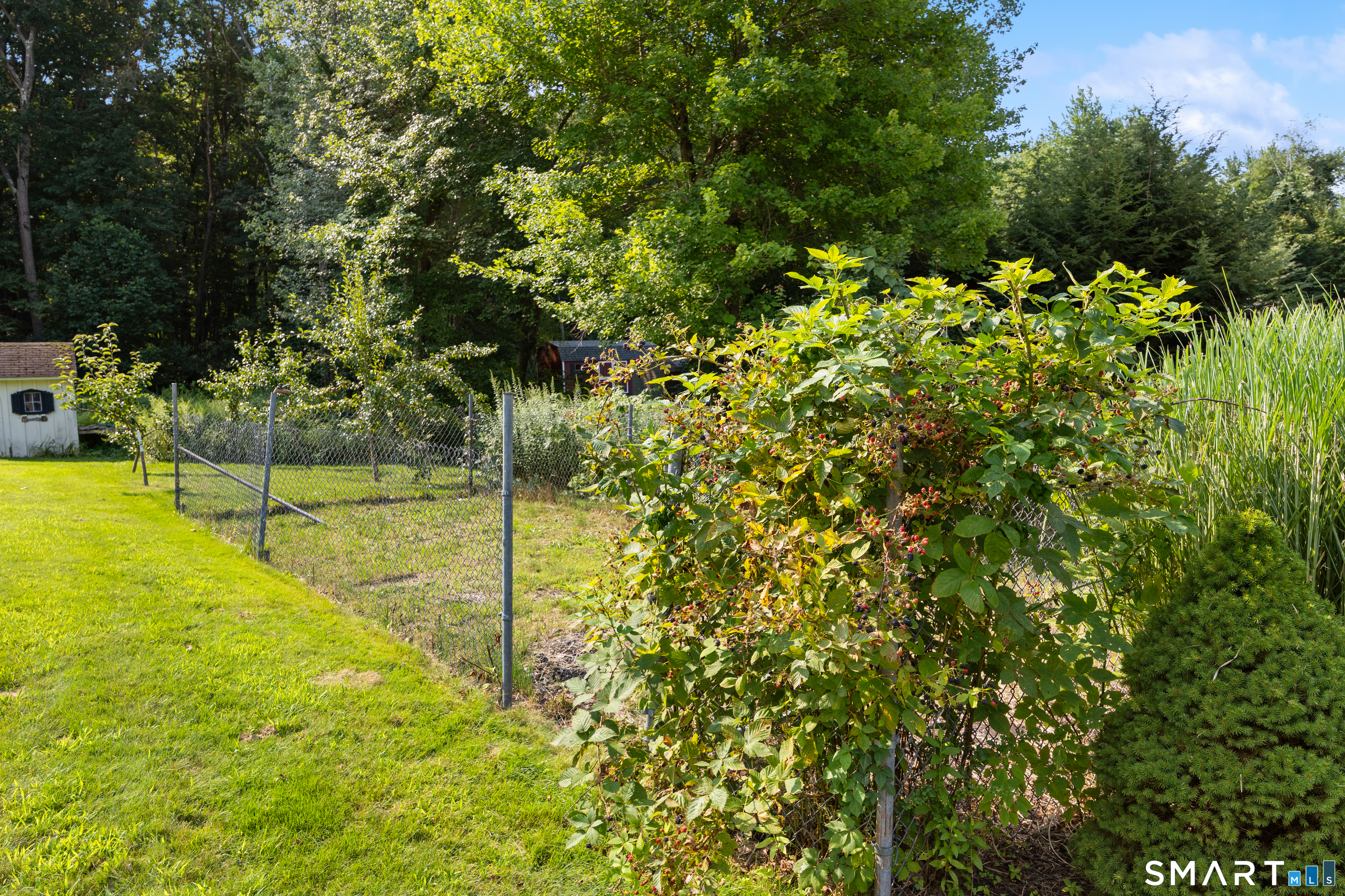 20 Lindsley Drive photo 38