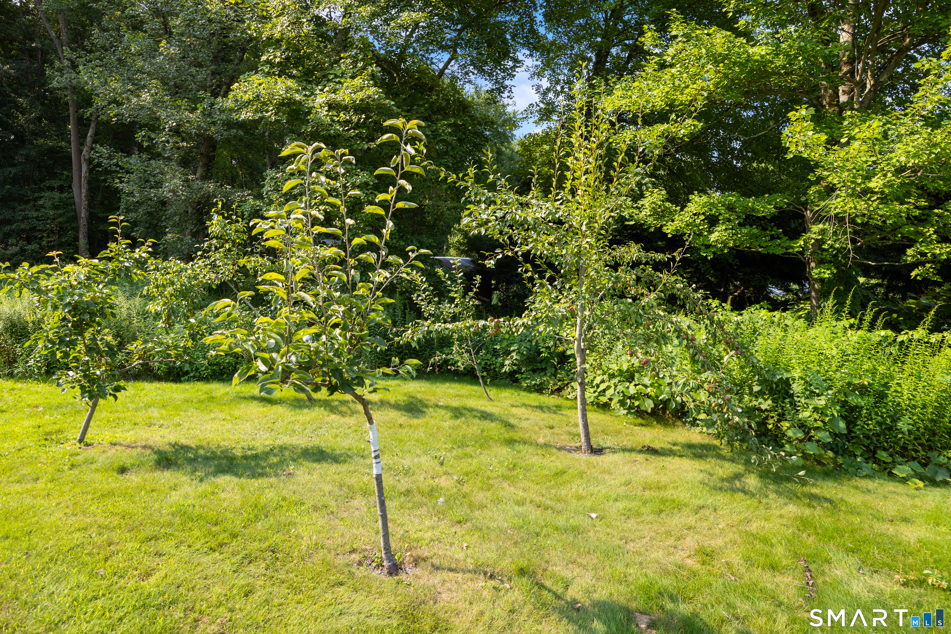 20 Lindsley Drive photo 39