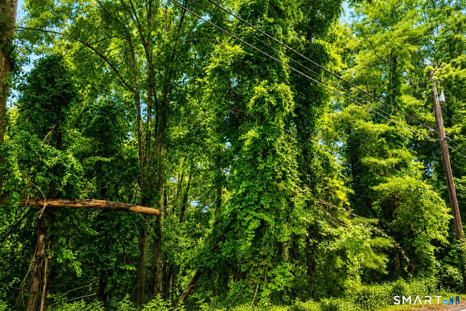 5th image of (Undisclosed), Danielson, CT 06239 | MLS# 24199175
