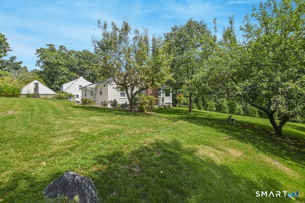 3 Wild Rose Road photo 18