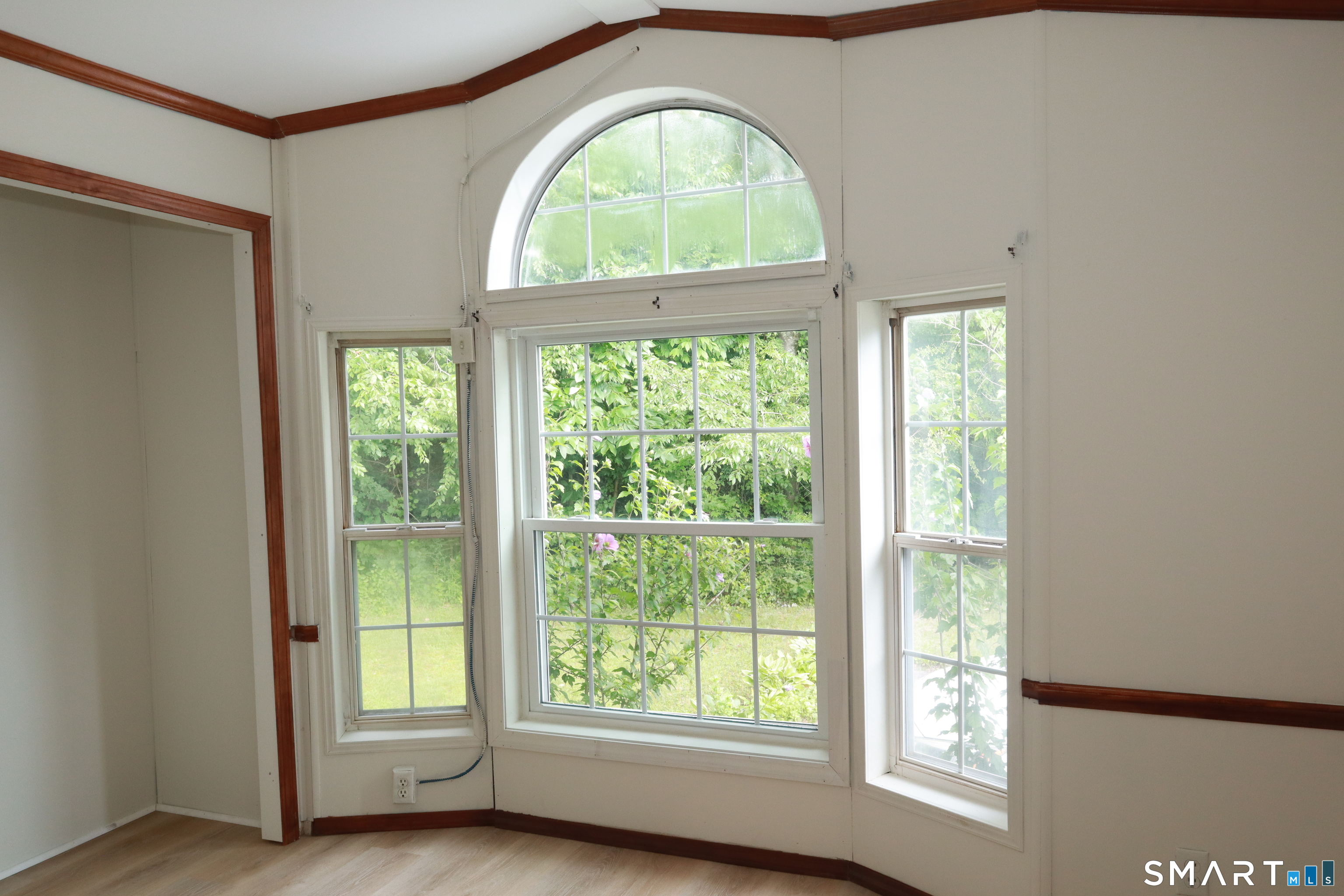 126 Williams Road photo 31