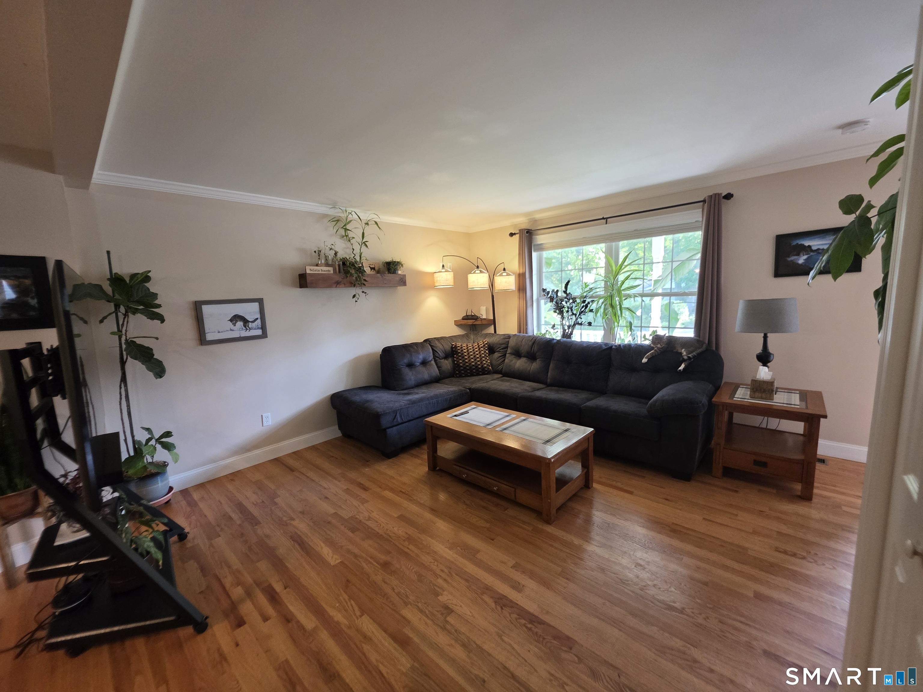 71 Lakeview Road photo 8