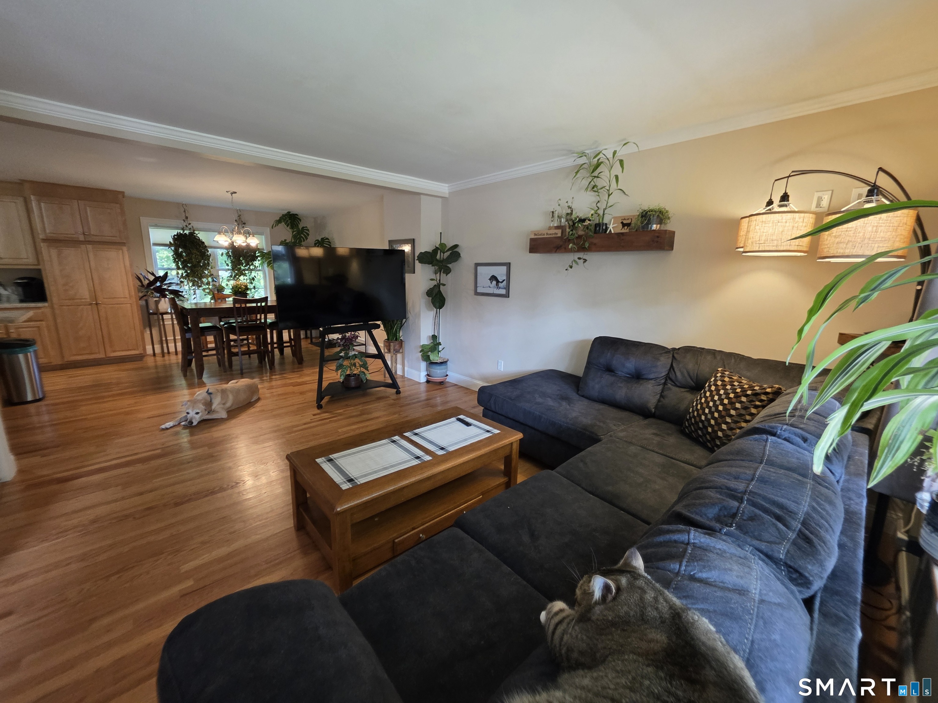 71 Lakeview Road photo 9