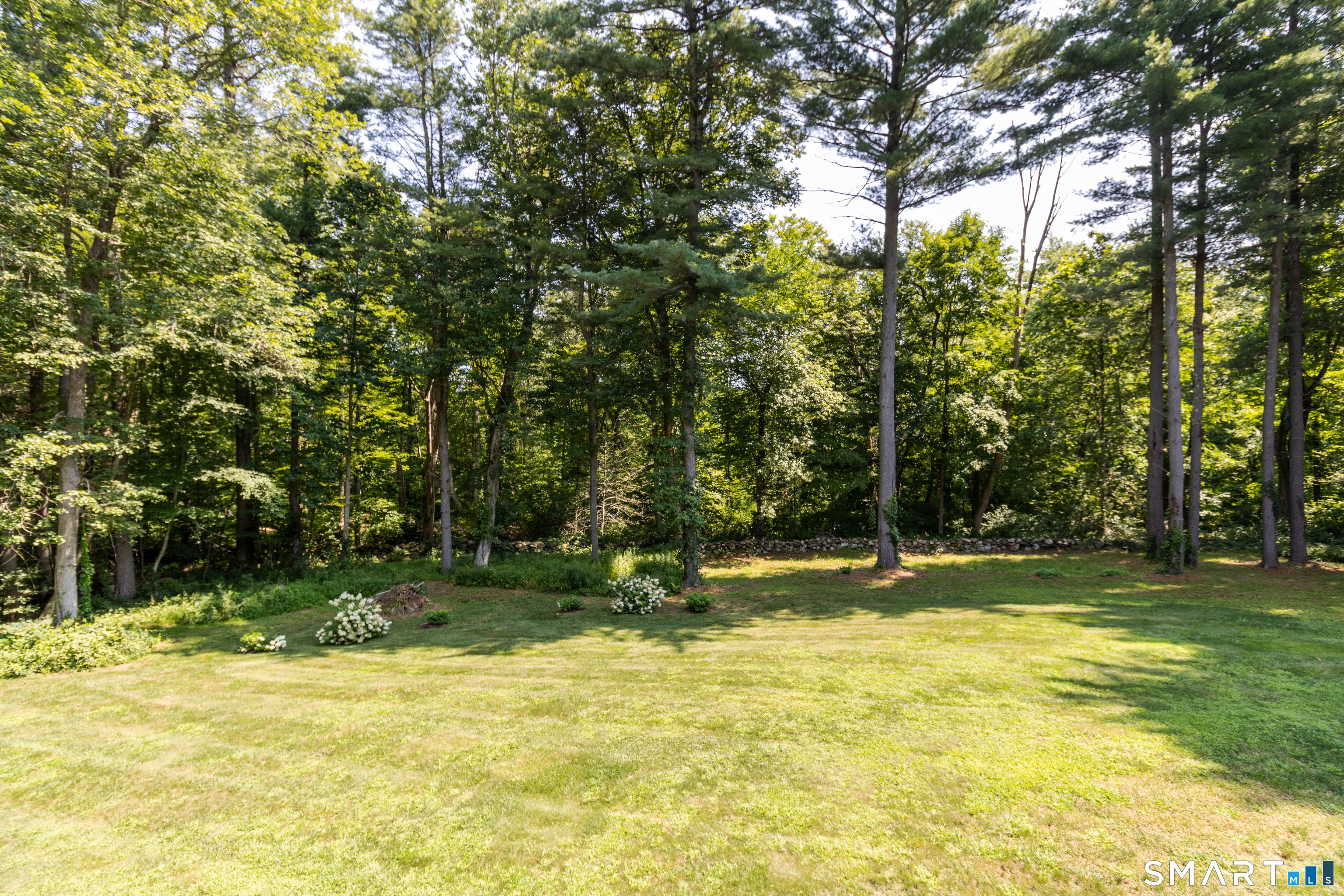 99 Fox Ridge Drive photo 37