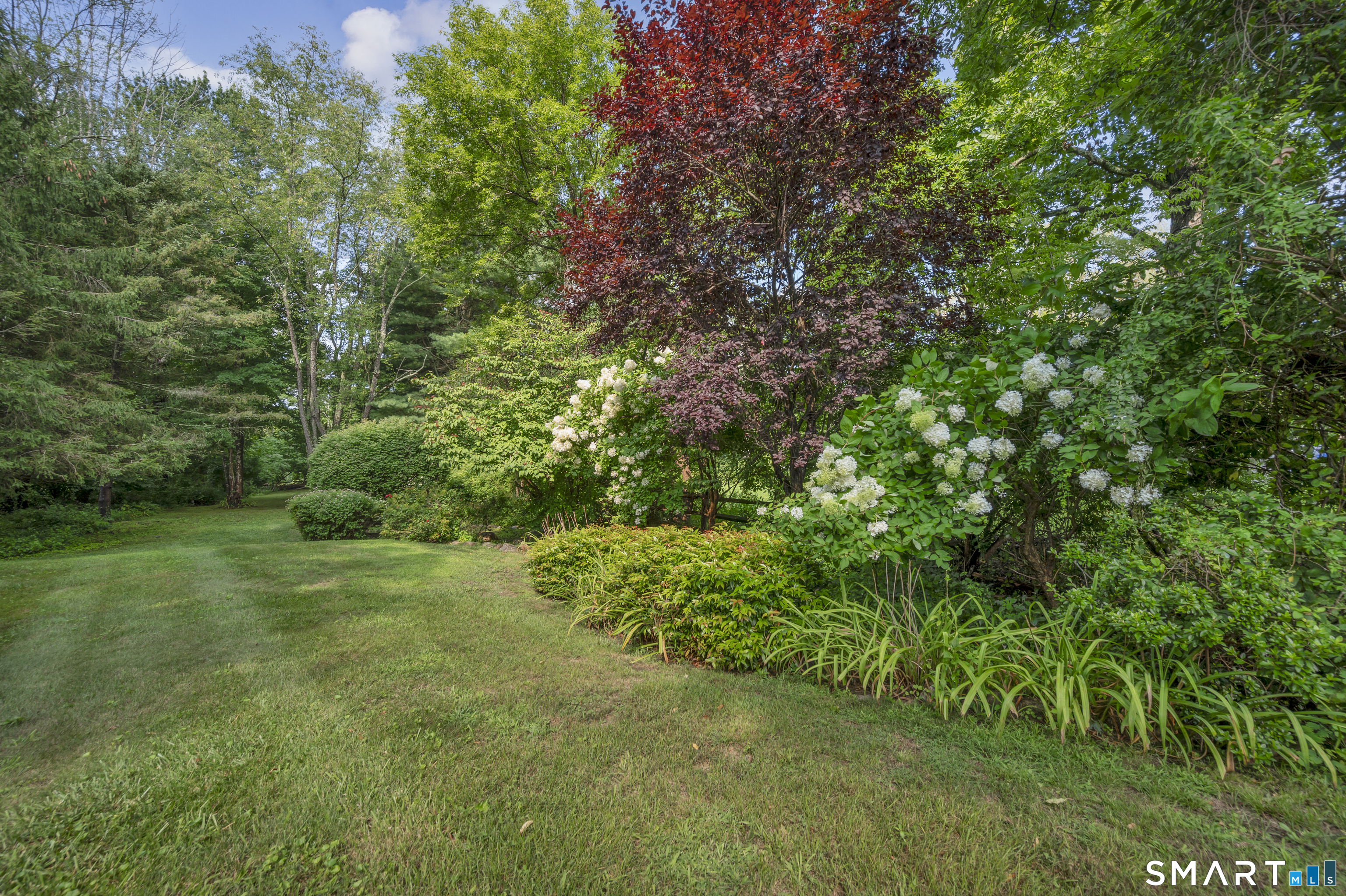 11 Plains Road photo 38