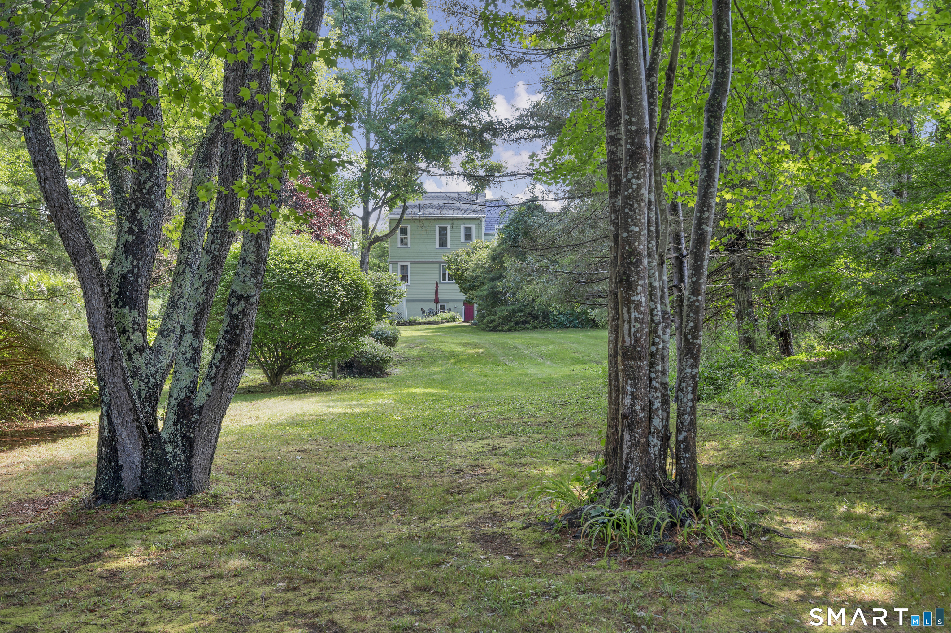 11 Plains Road photo 40