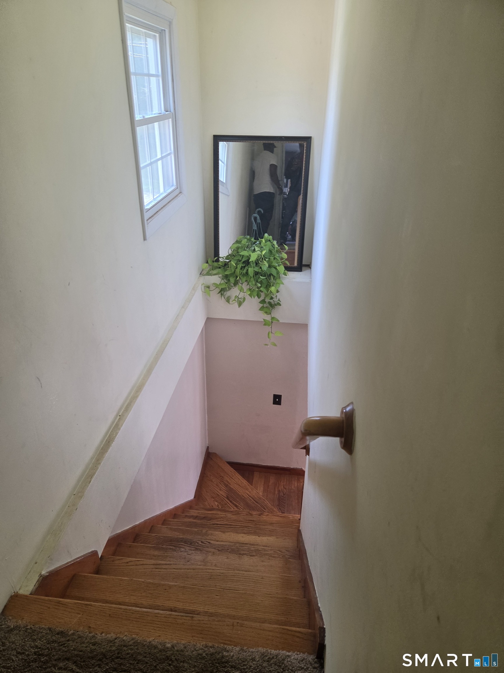40 Suffolk Drive photo 18