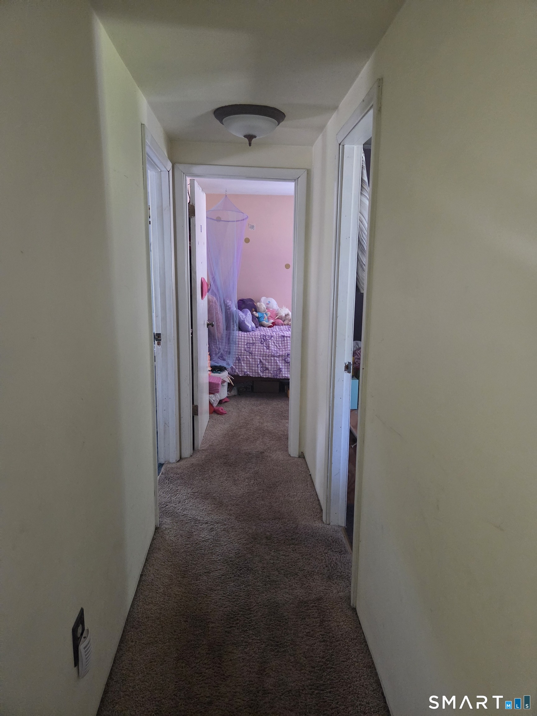 40 Suffolk Drive photo 19