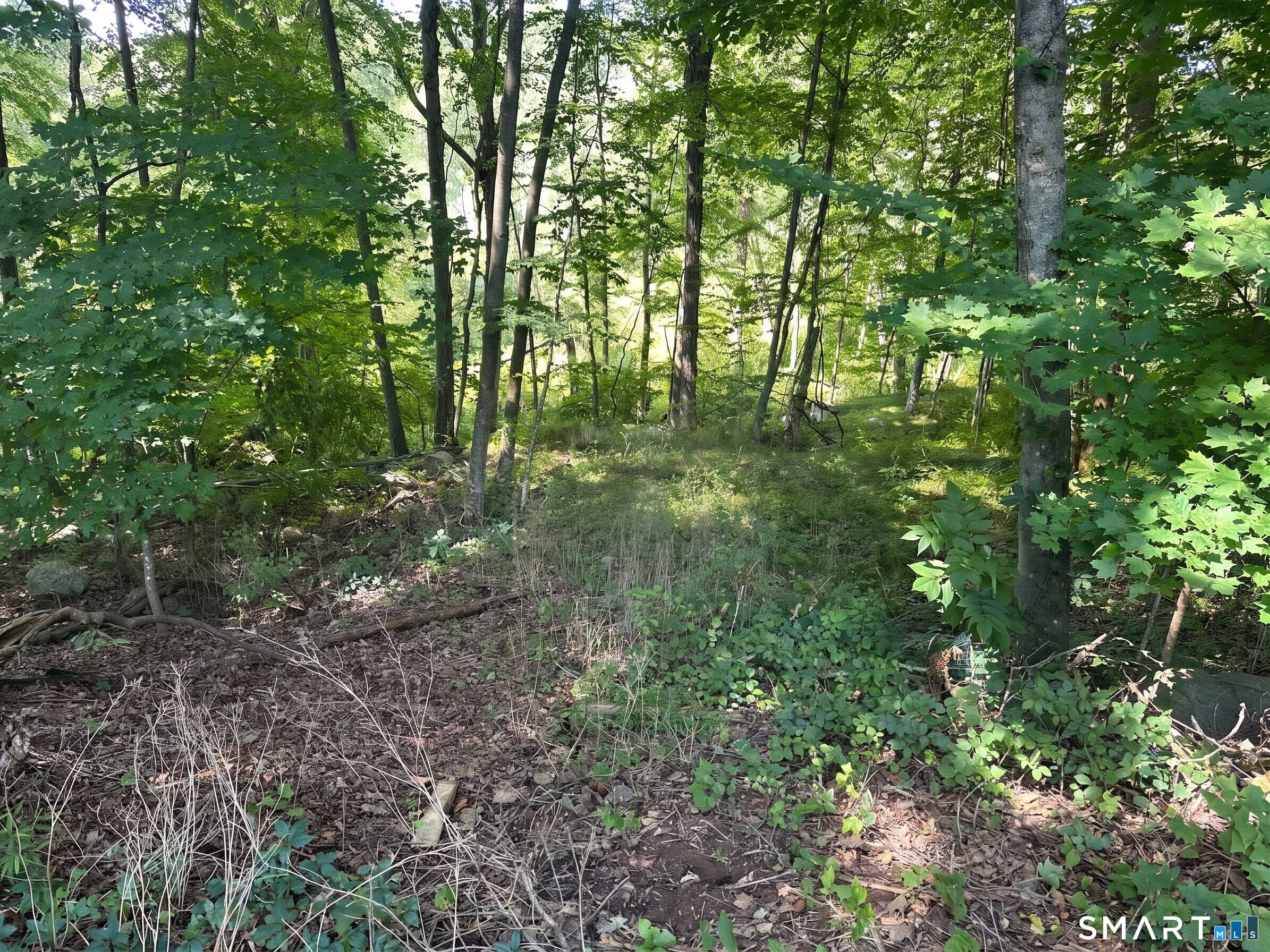 56 Hubbell Mountain Road