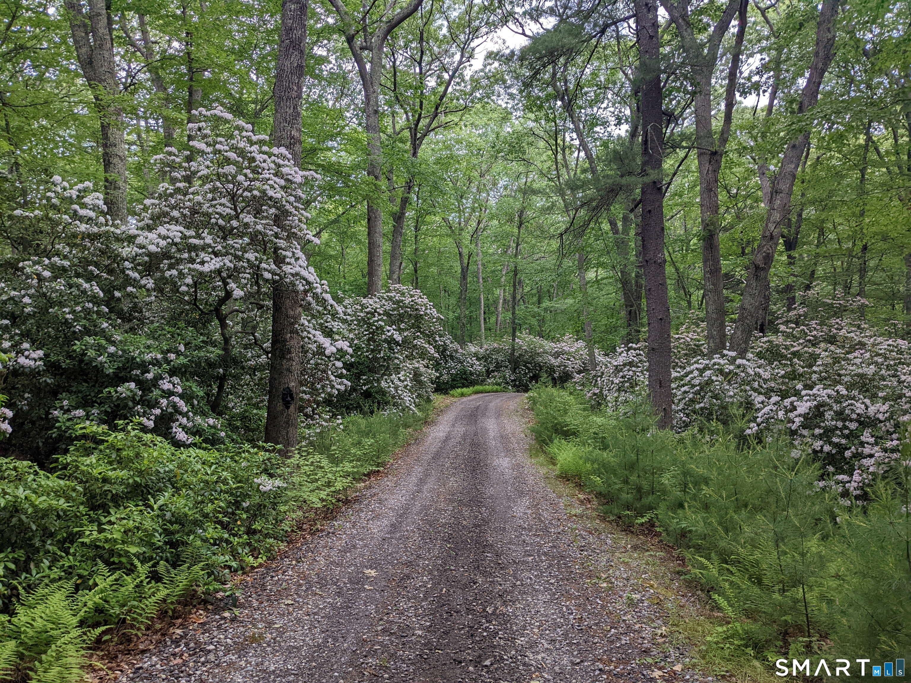 150-1 Mitchell Hill Road, Lyme, CT 79532