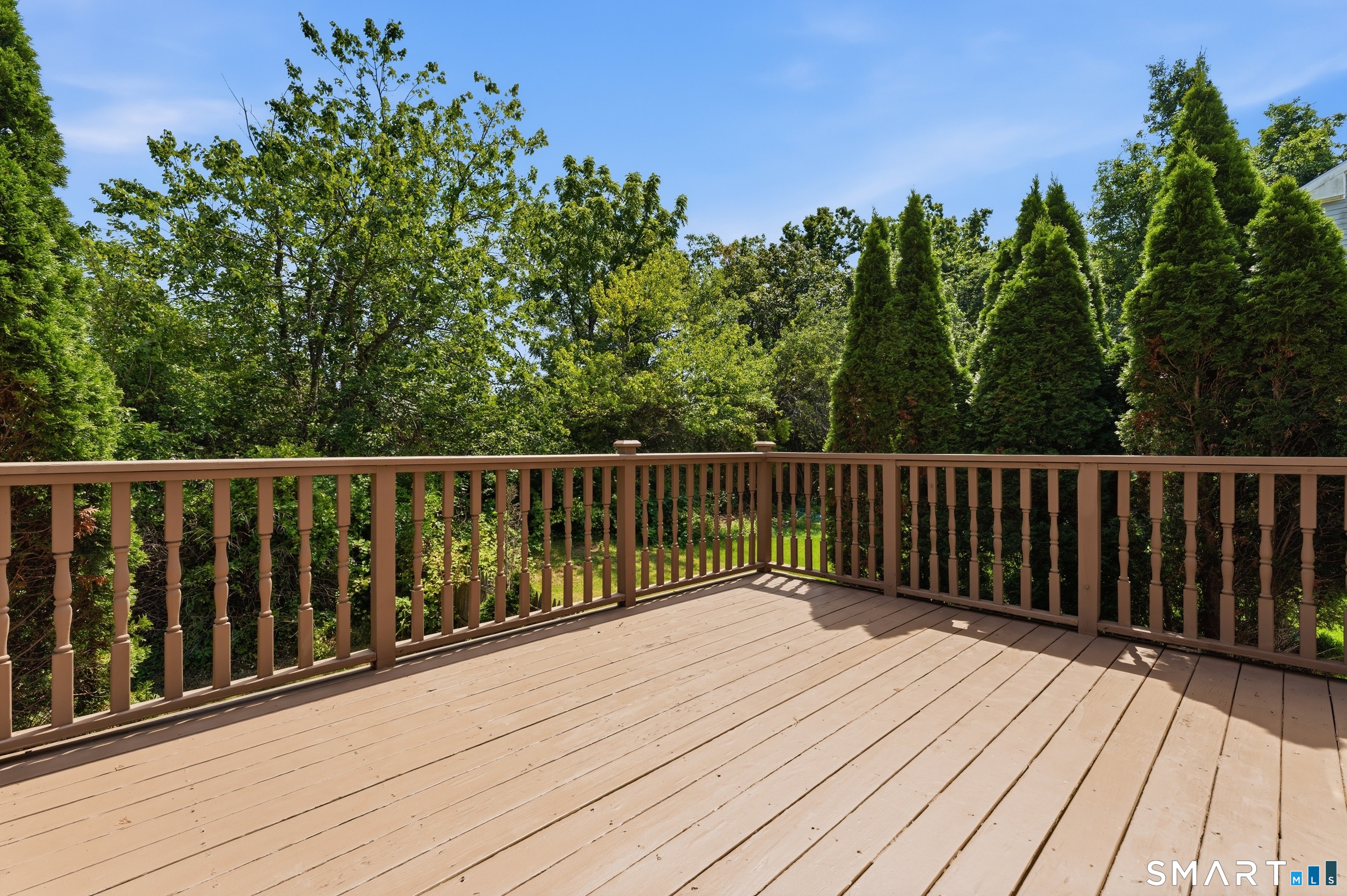 32 Marshall Avenue photo 34