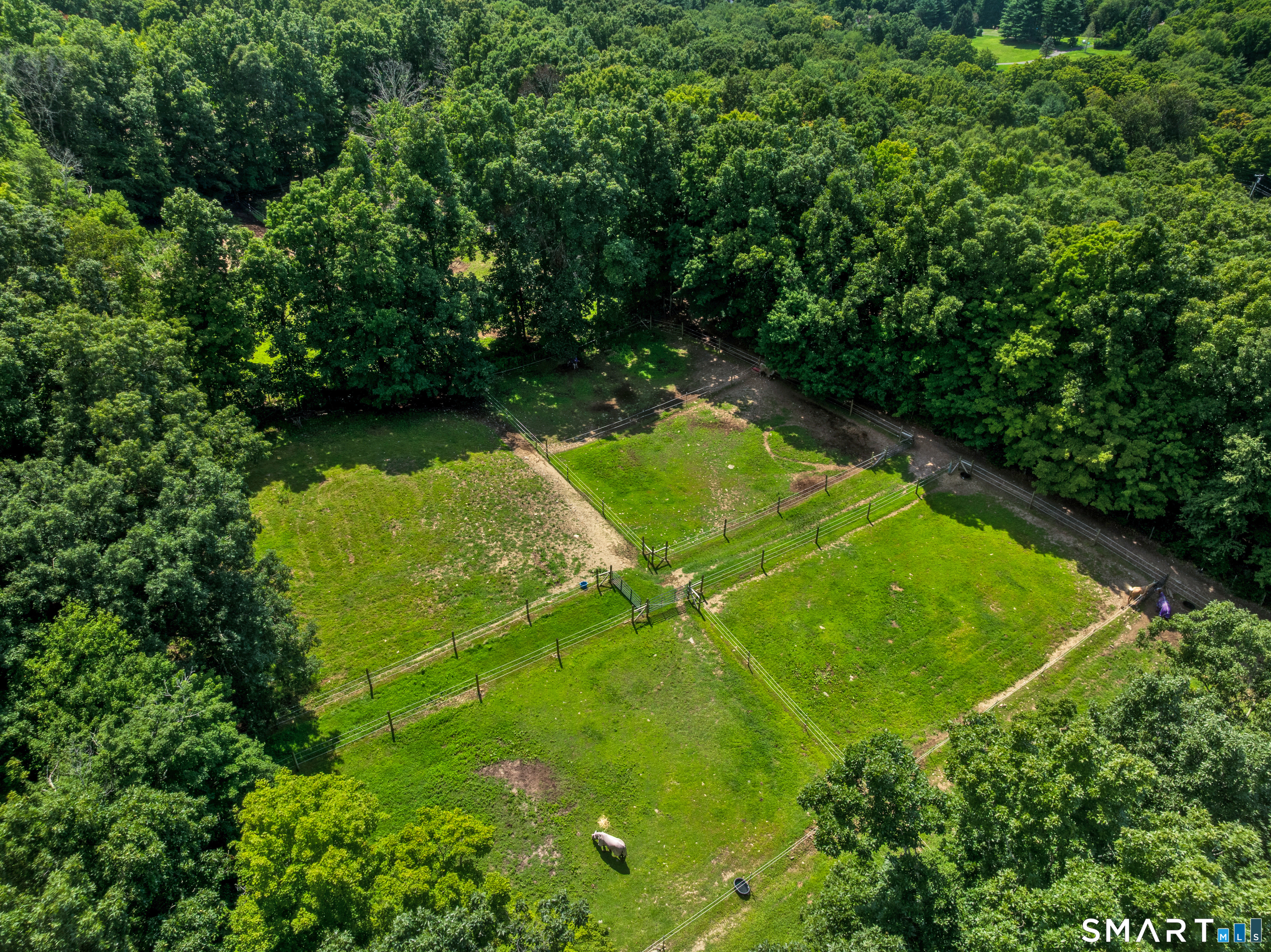138 Minortown Road photo 16