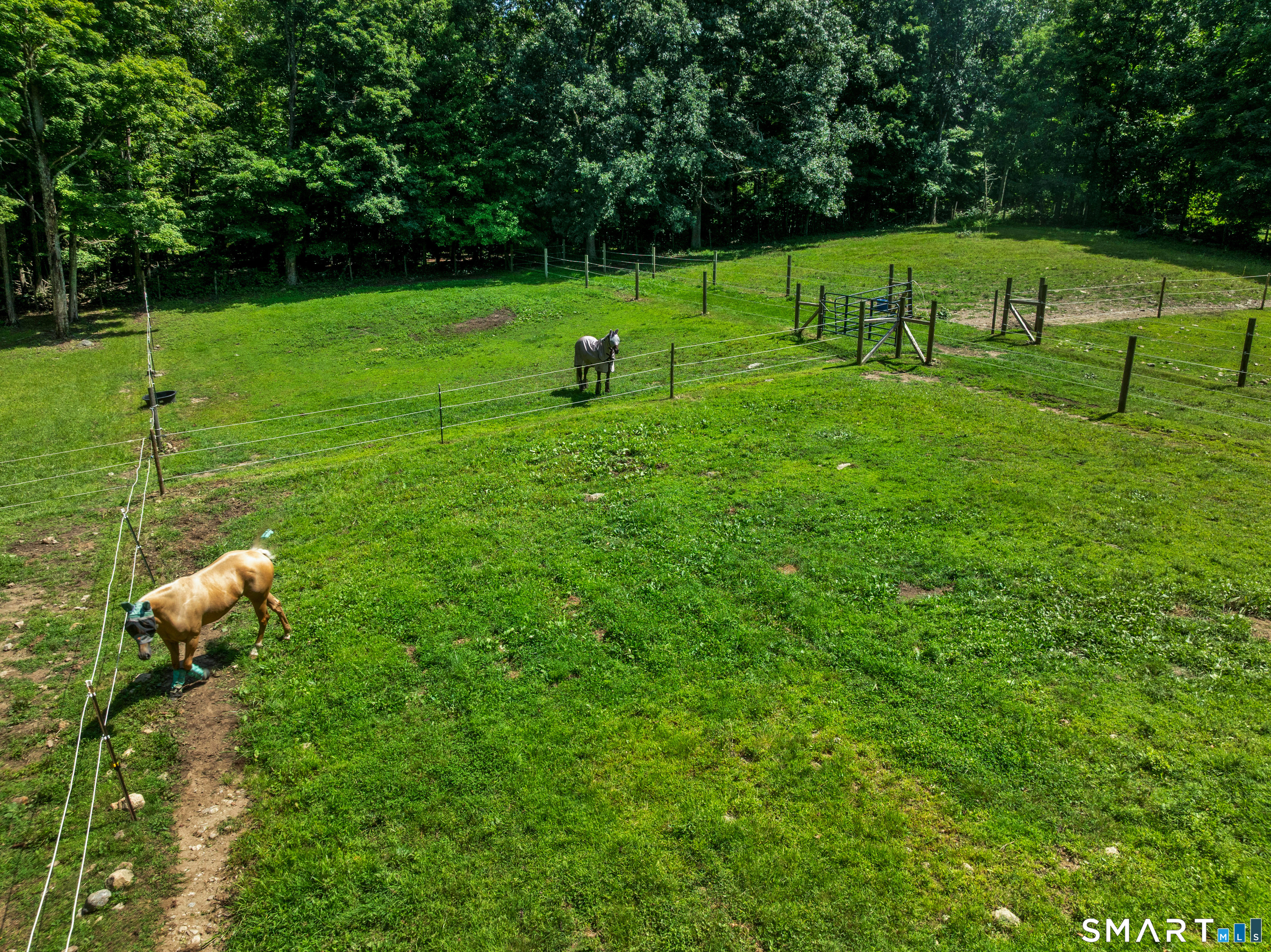 138 Minortown Road photo 18
