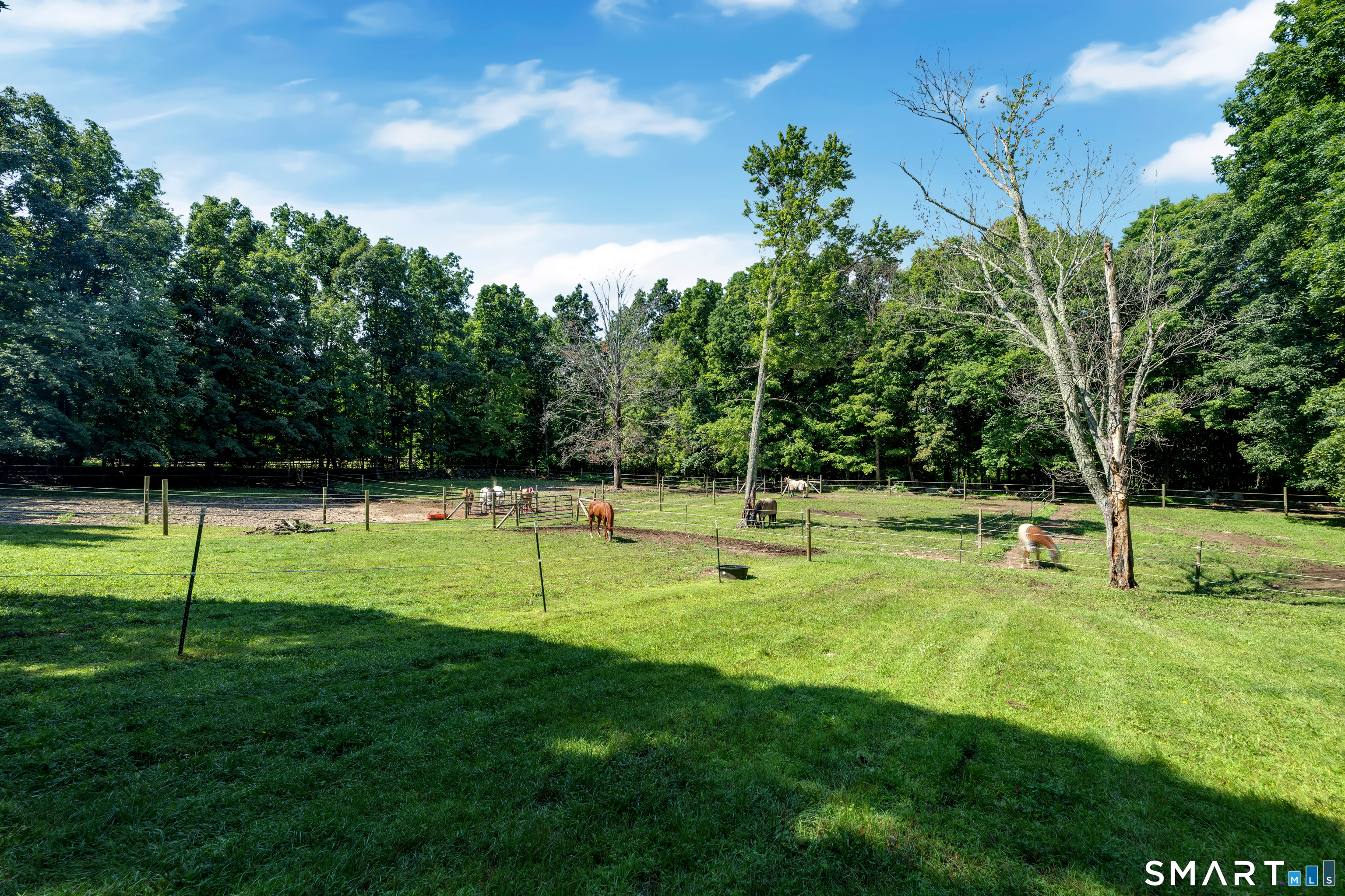 138 Minortown Road photo 17