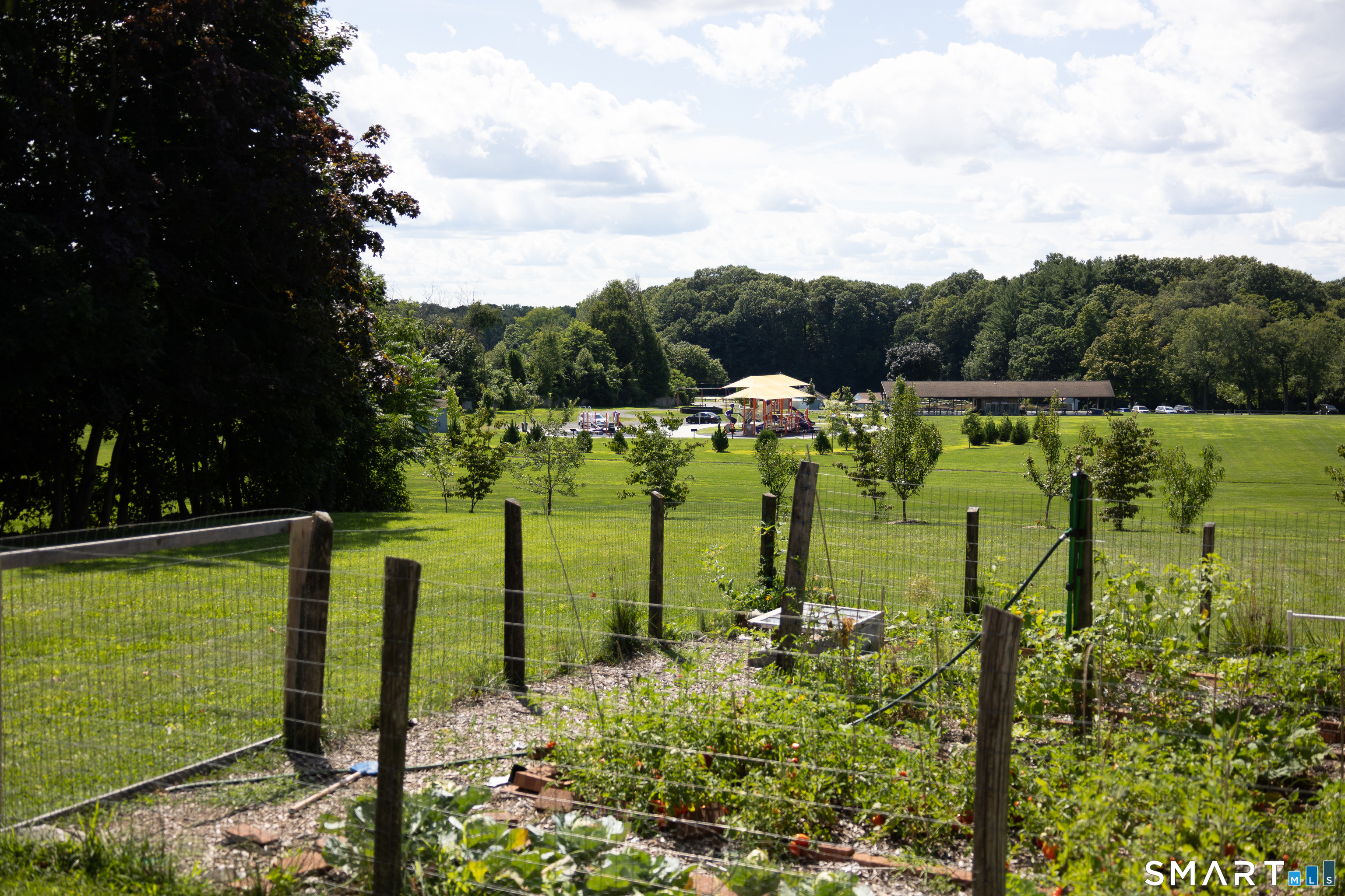 46 Skinner Road photo 37