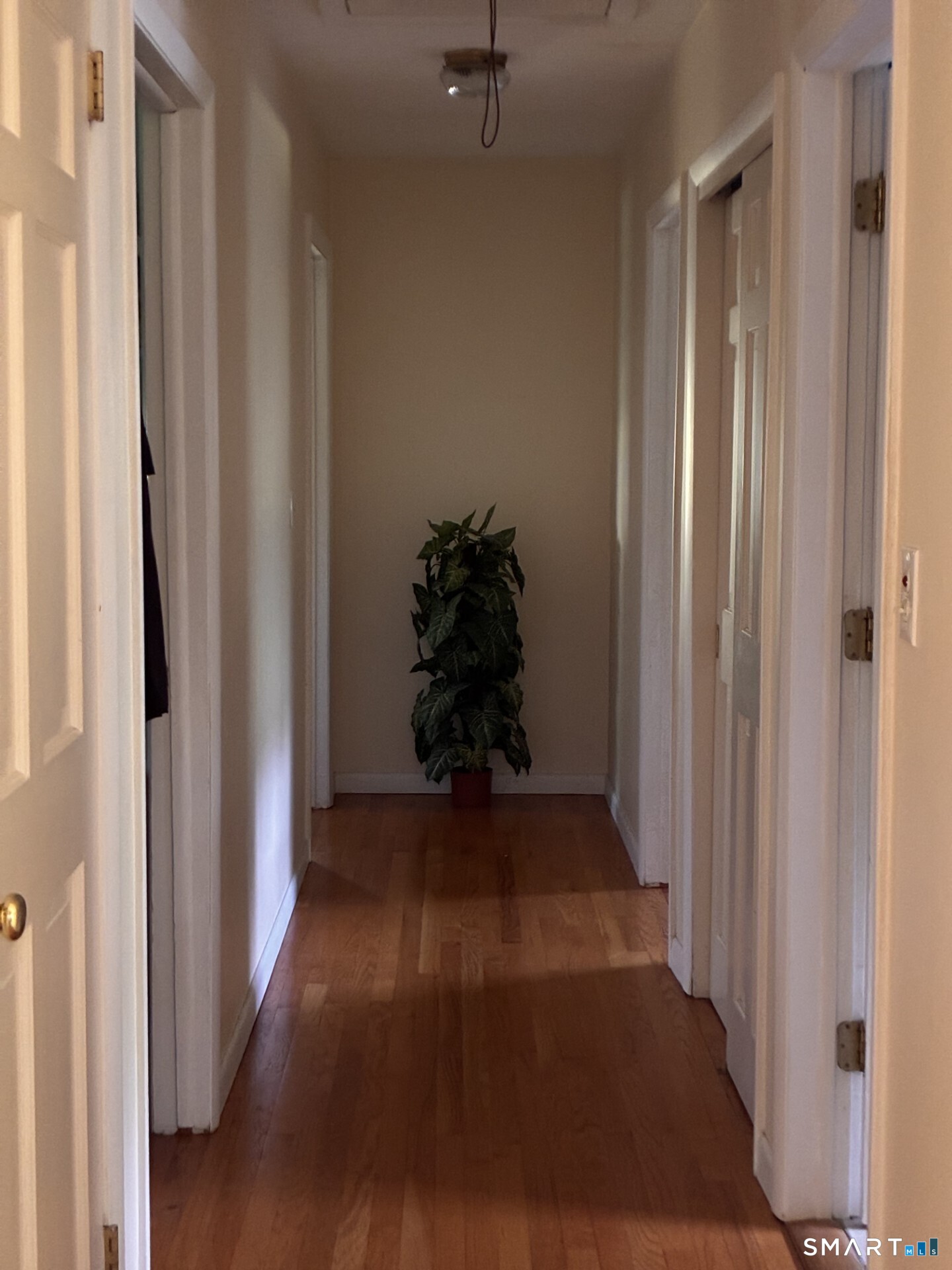 34 Andre Drive photo 10