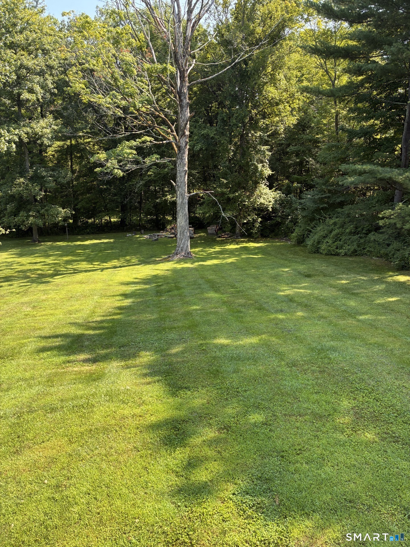 34 Andre Drive photo 23