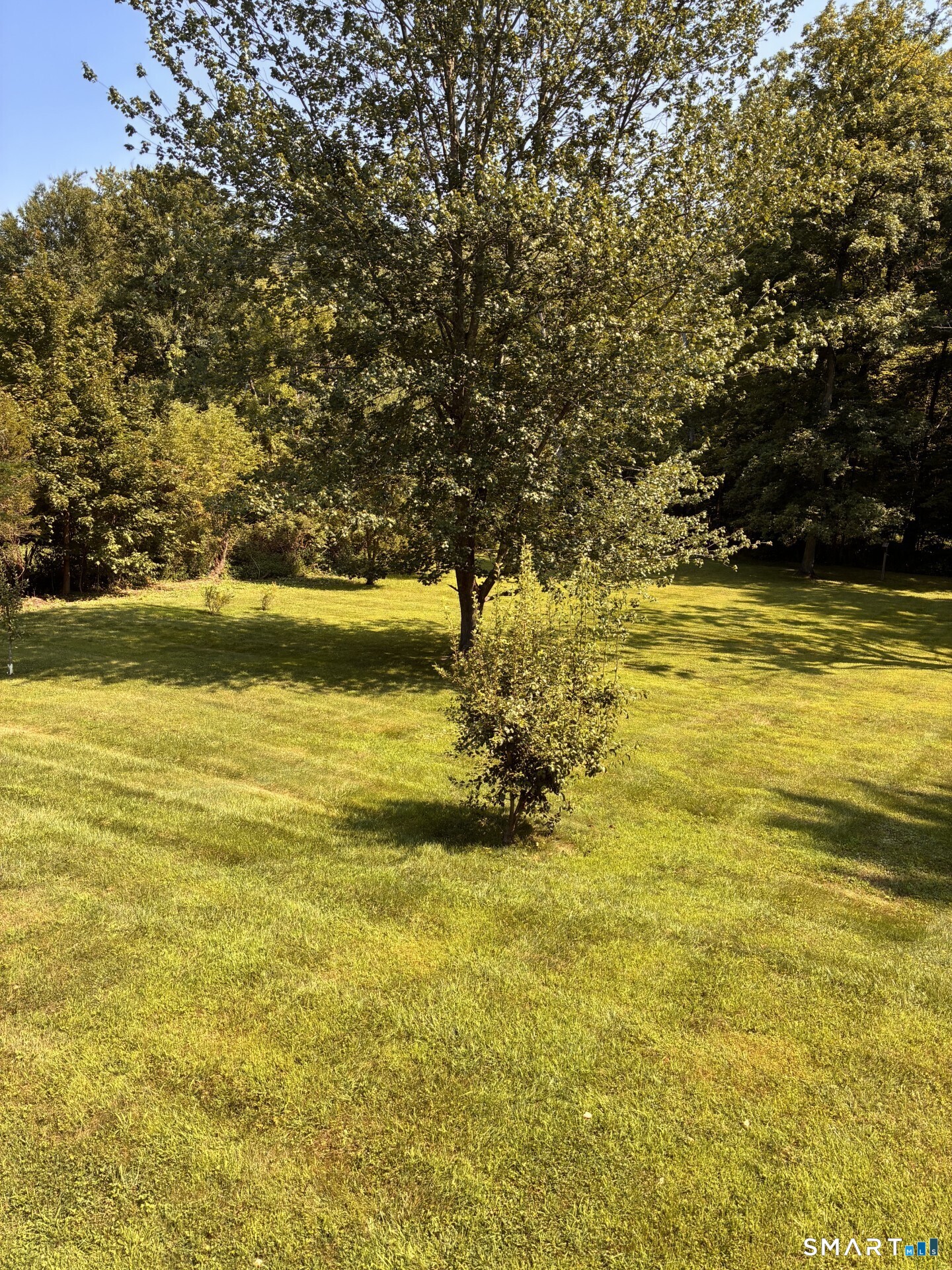 34 Andre Drive photo 24