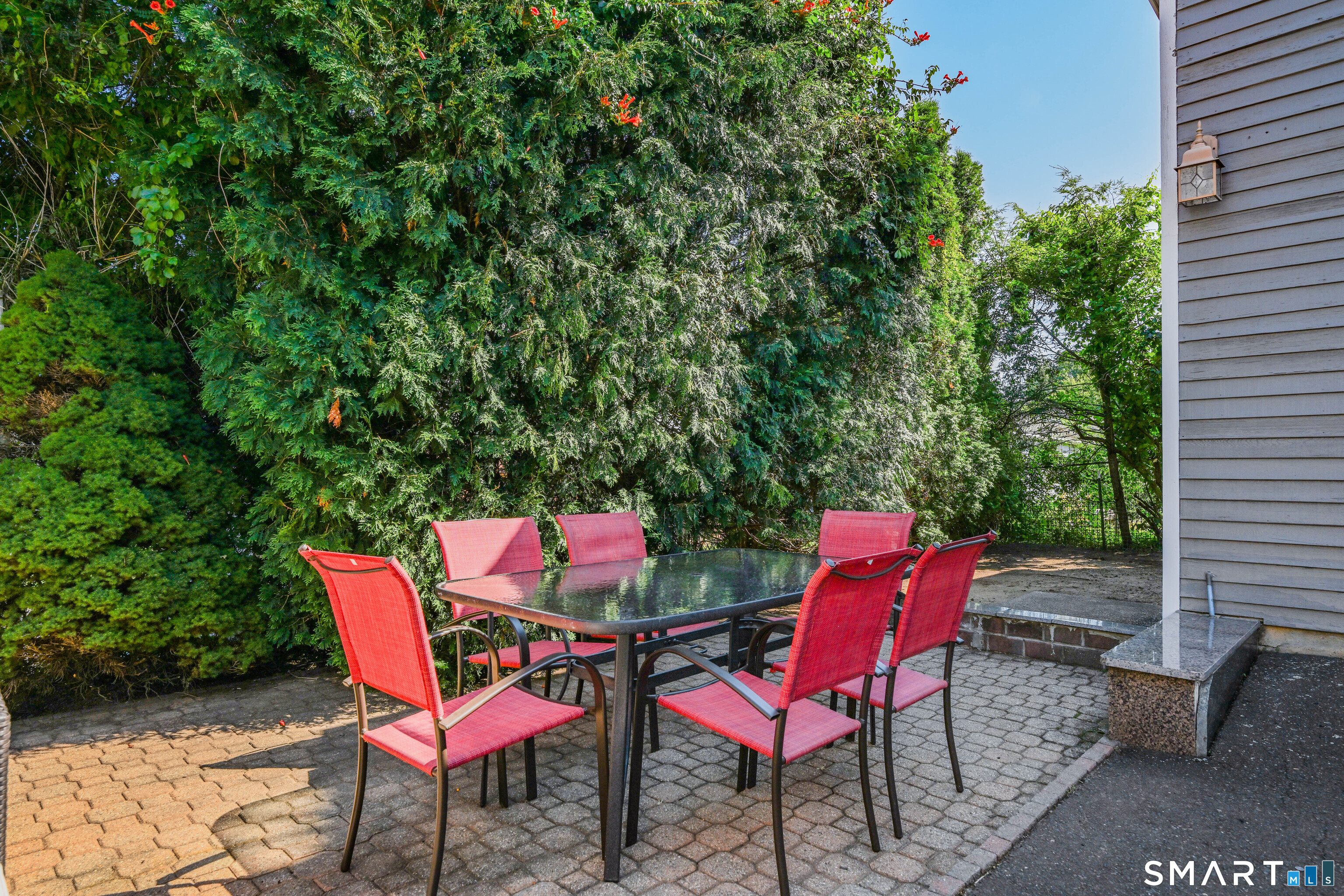 15 Ridgewood Street photo 28