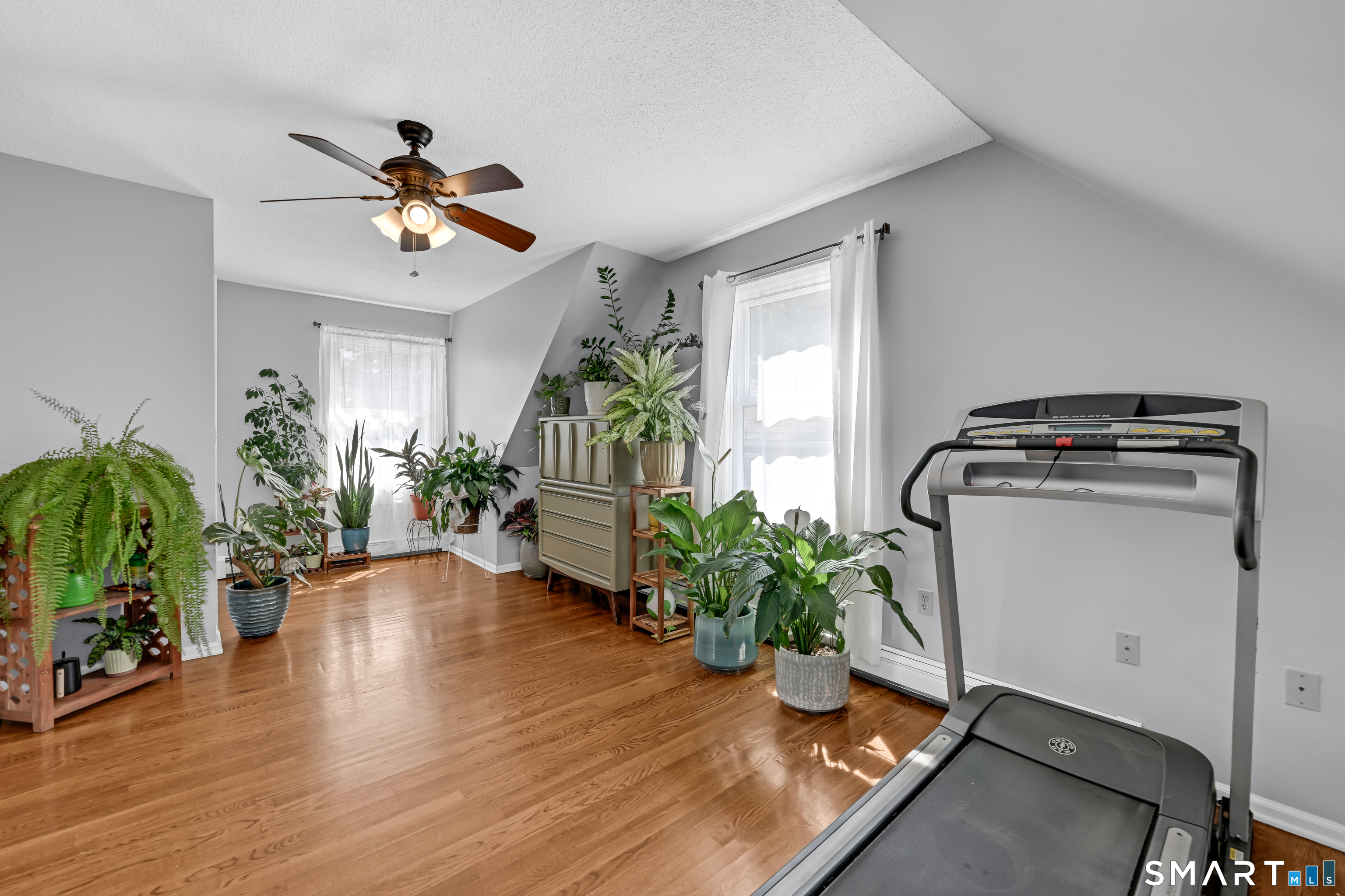15 Ridgewood Street photo 19