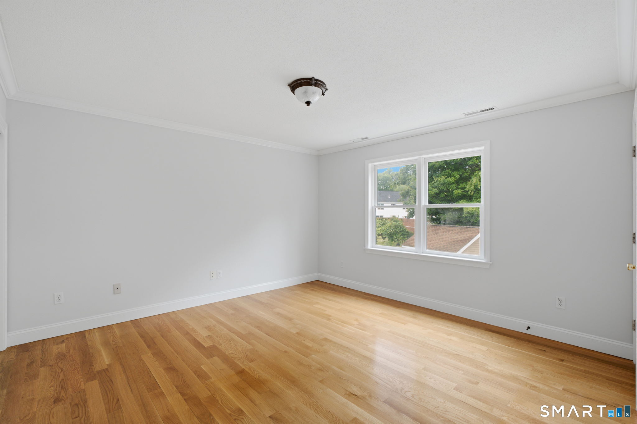 85 Geraldine Drive photo 29