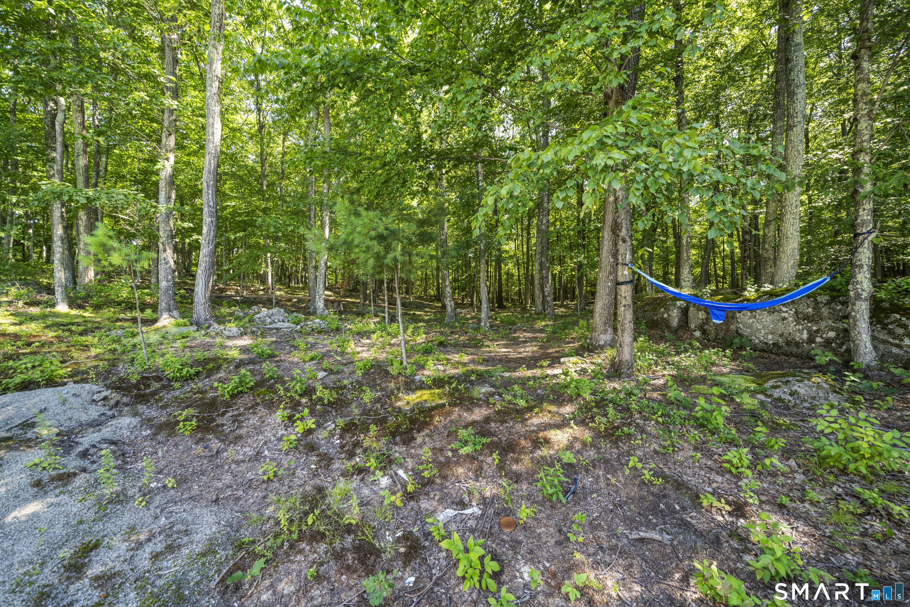 2 Rock Ridge Road photo 38
