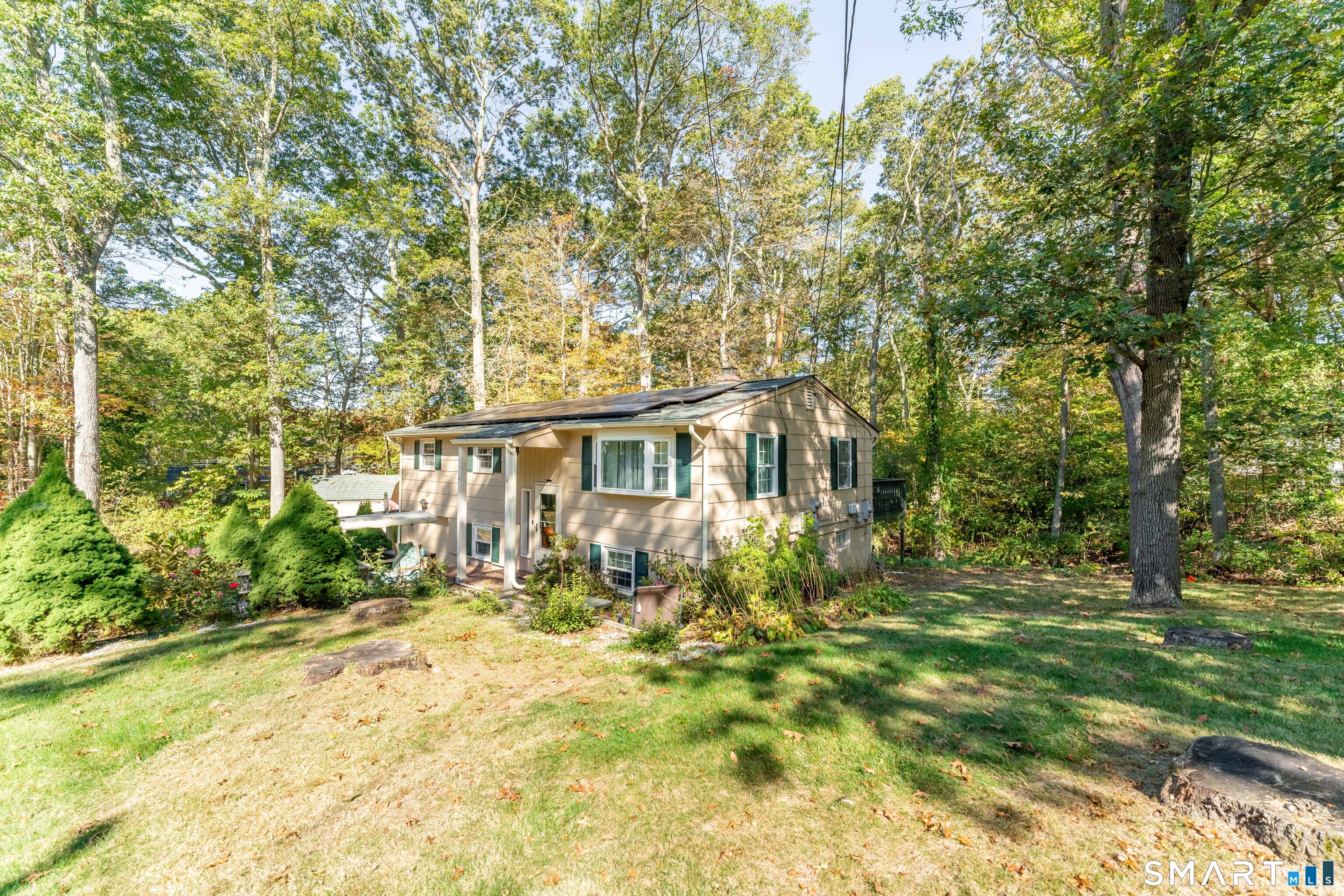 6 Marion Drive photo 11