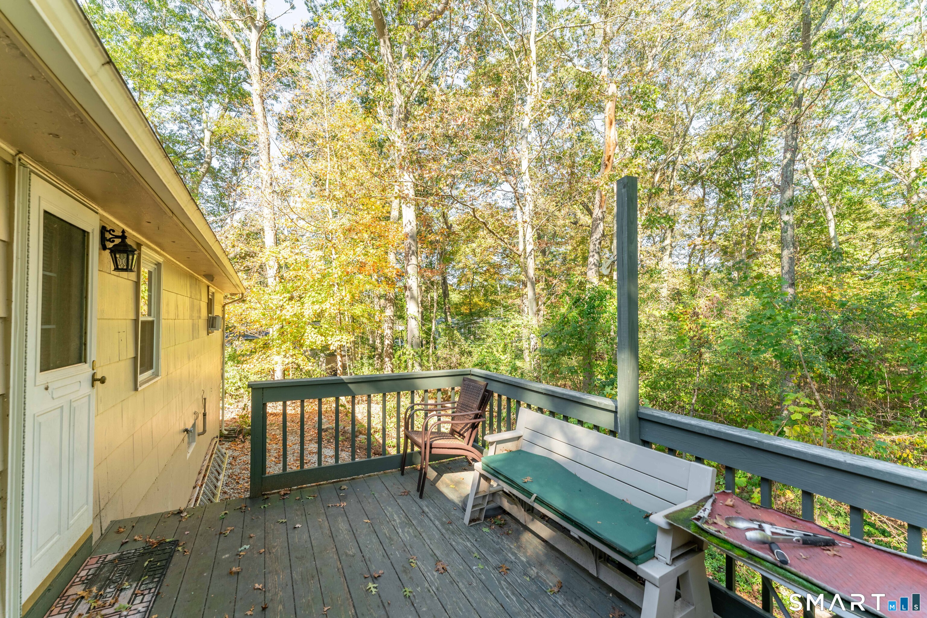6 Marion Drive photo 13