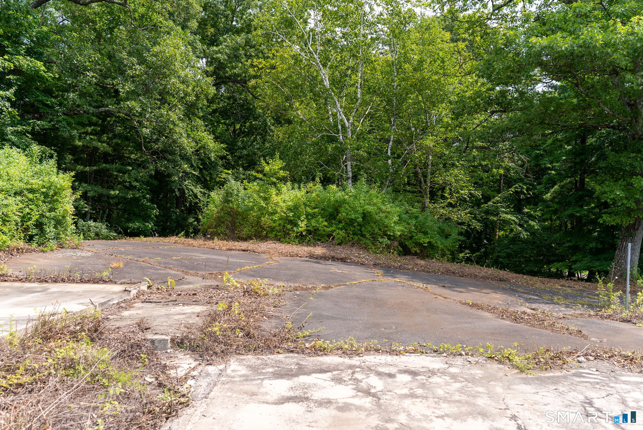 529 Deercliff Road photo 12
