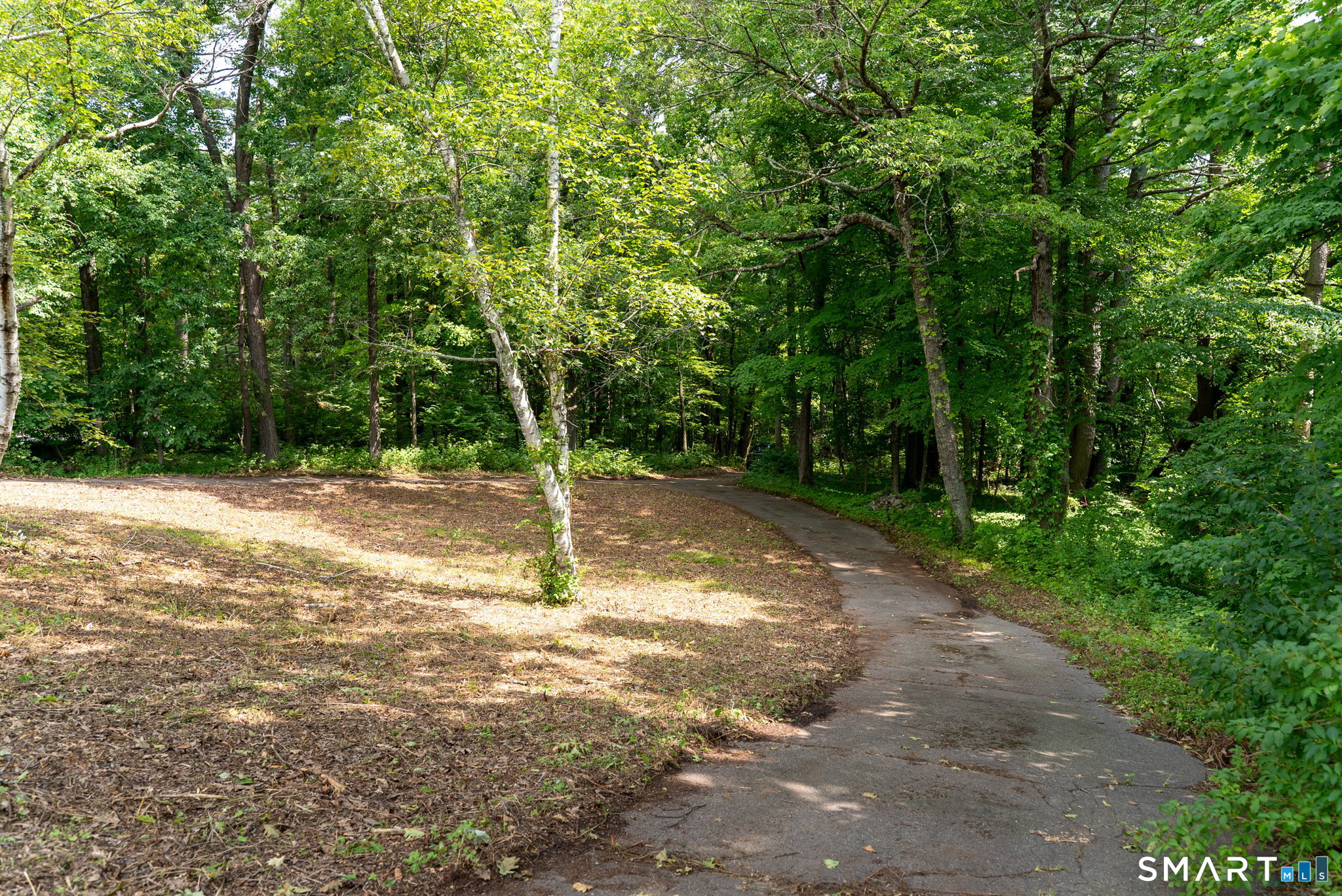 529 Deercliff Road photo 13