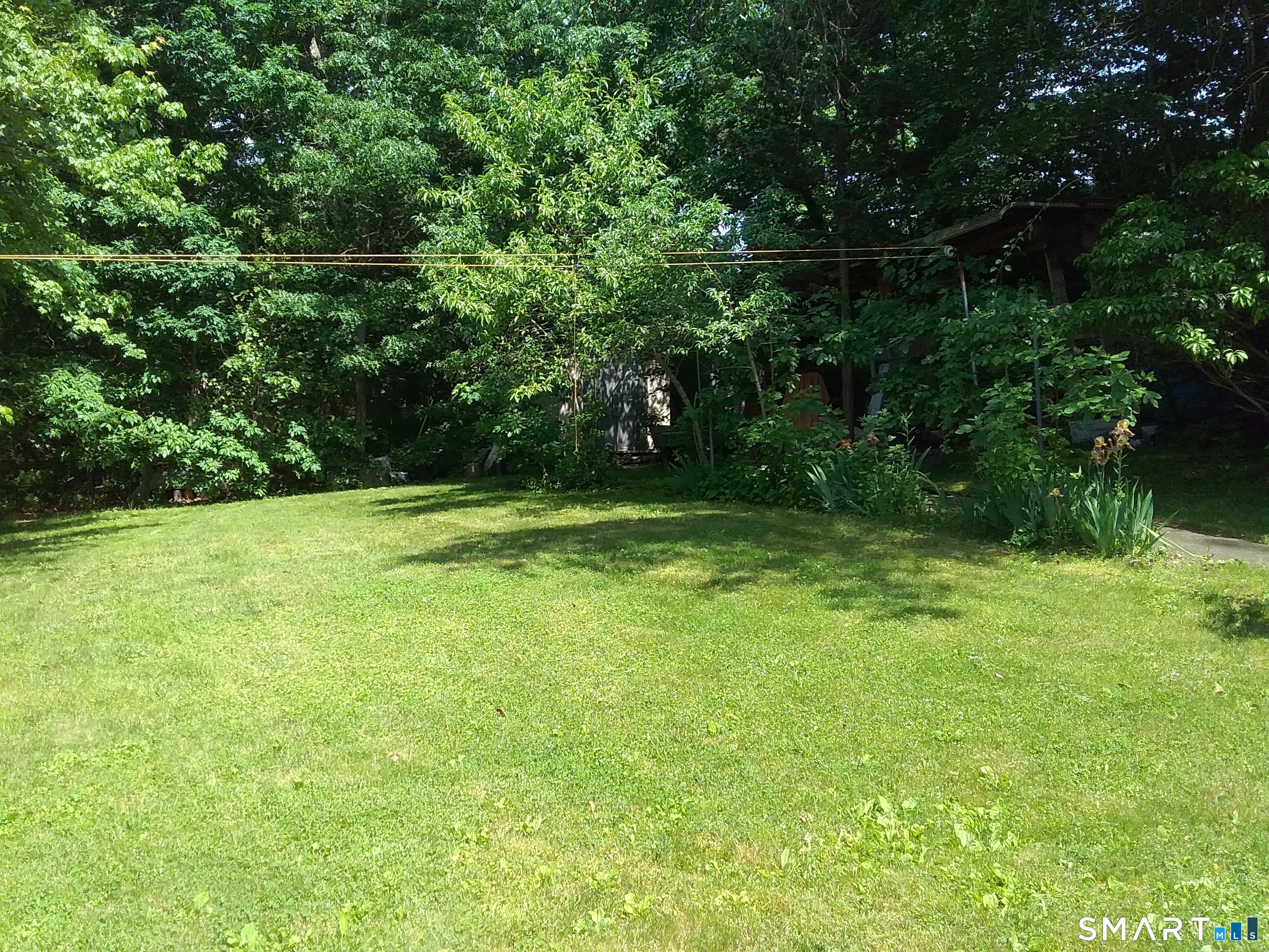 242 Grove Street photo 16