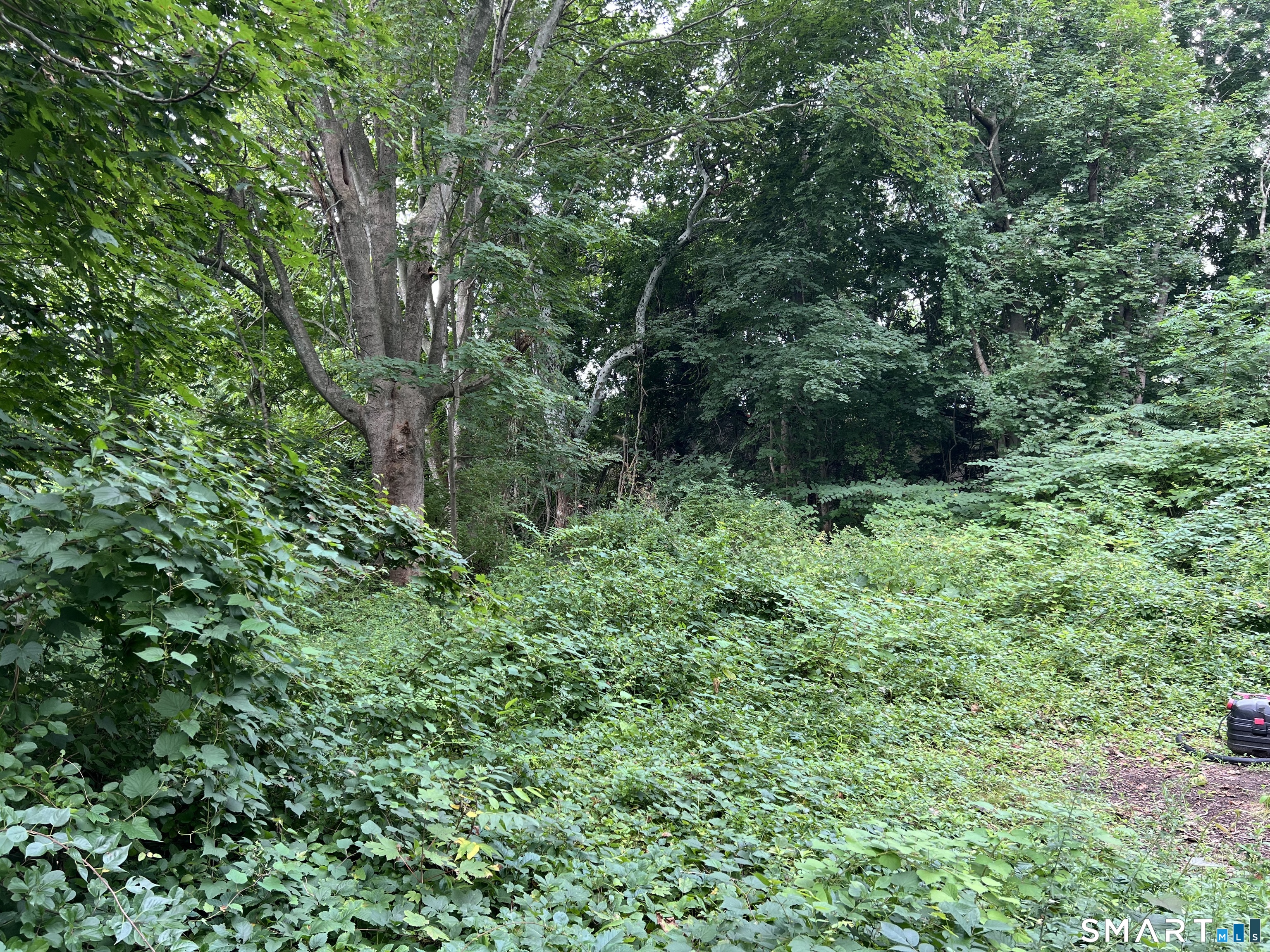 1st image of 43 Quarry St, Old Saybrook, CT 06475 | MLS# 24200155