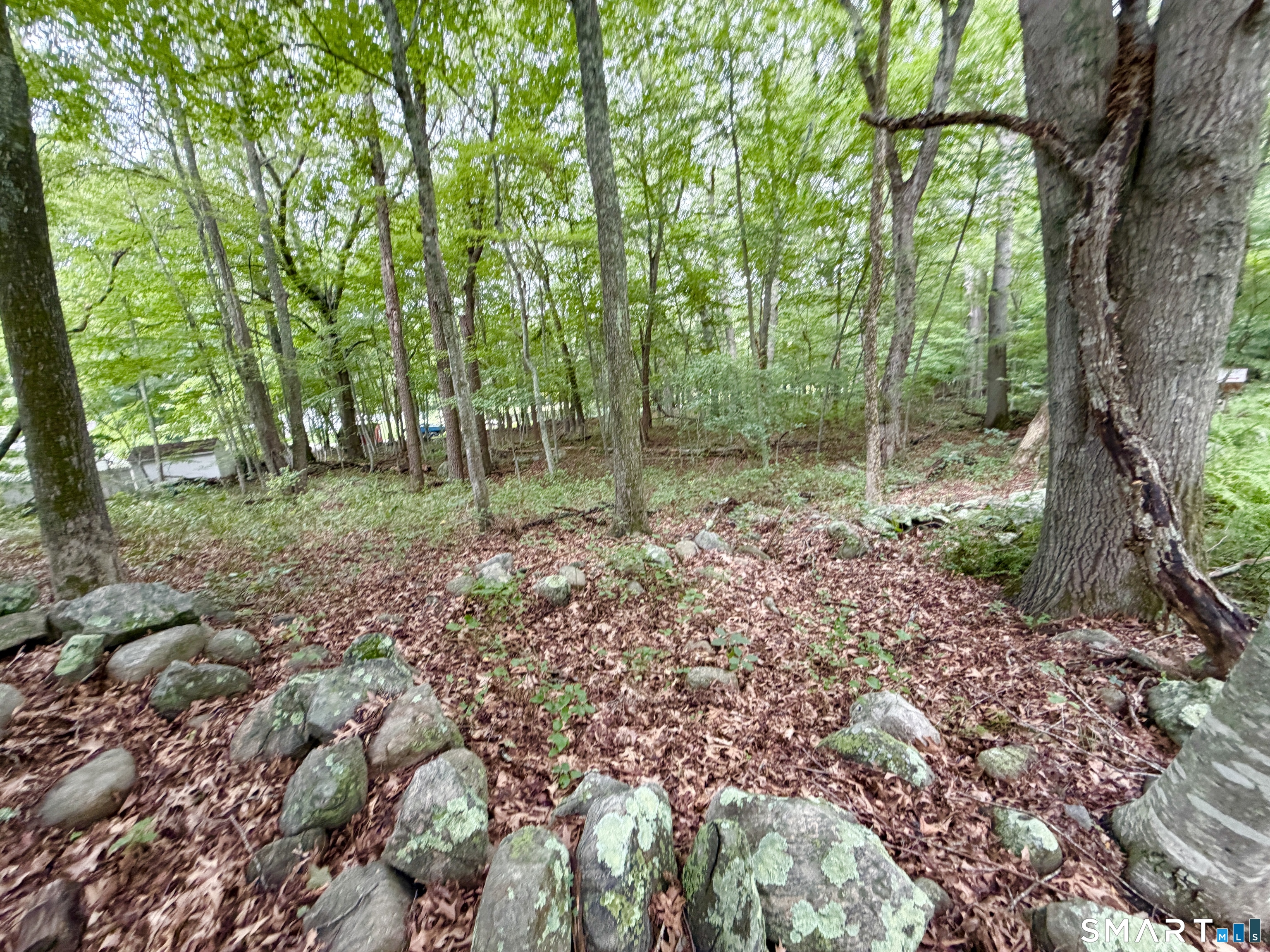 228-B Mile Creek Road photo 11