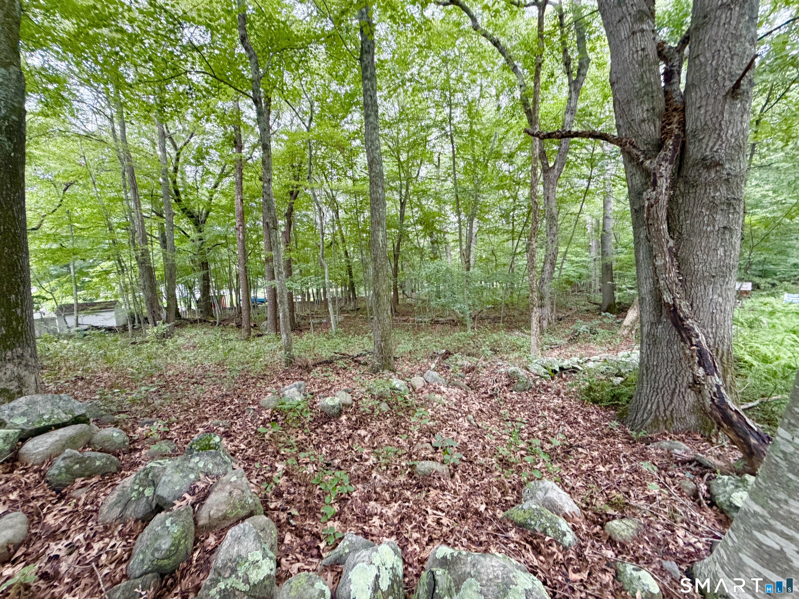 228-B Mile Creek Road photo 12