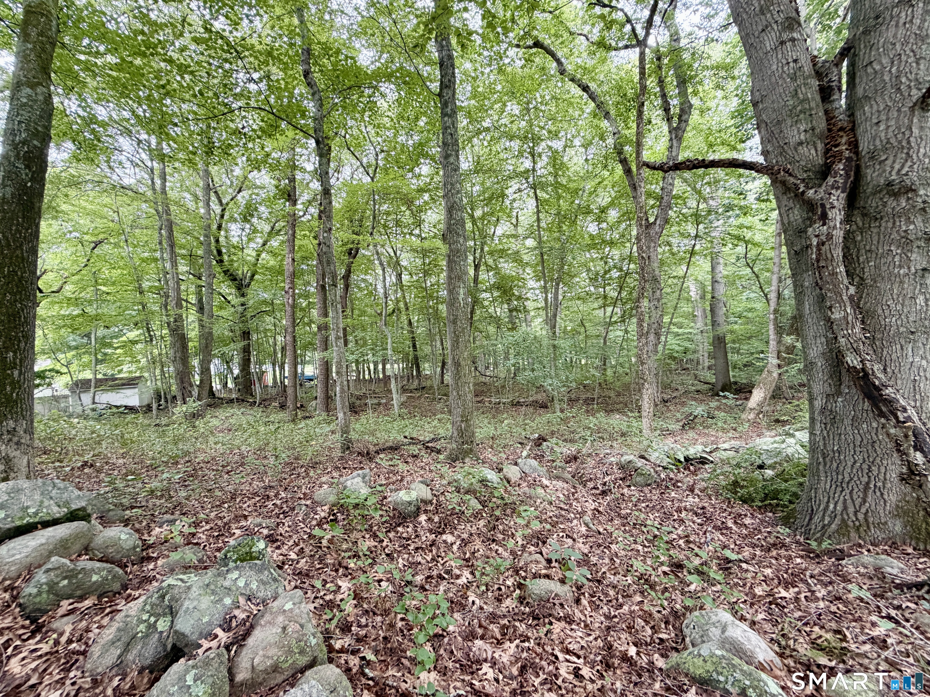 228-B Mile Creek Road photo 13