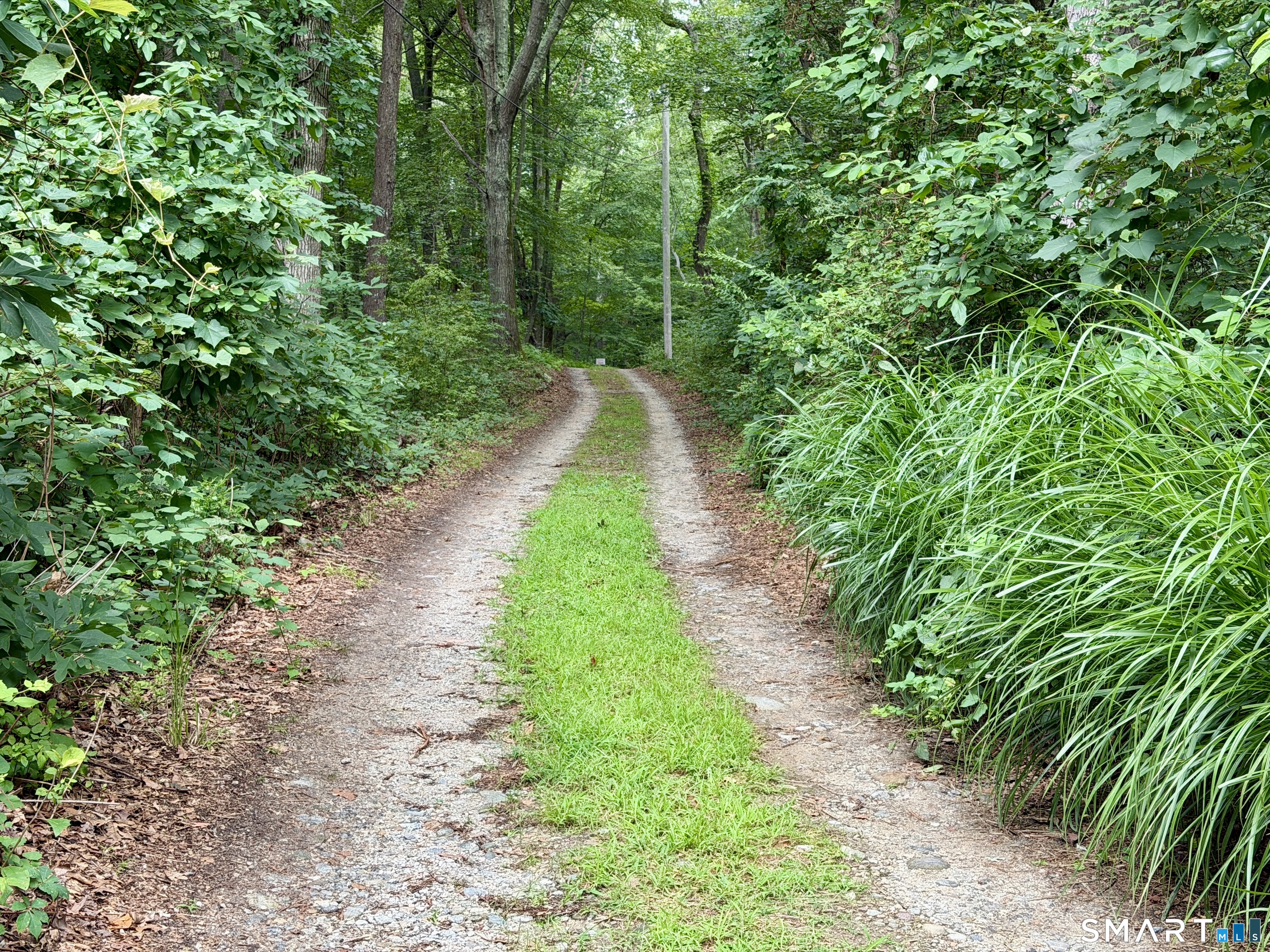228-B Mile Creek Road photo 14