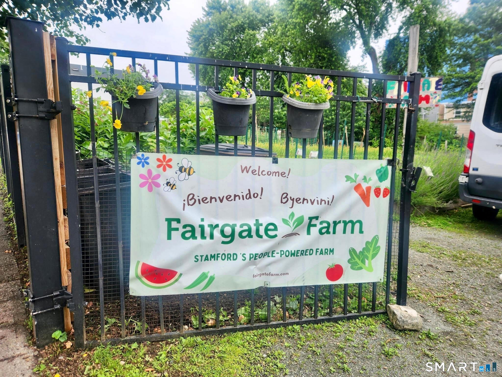 49 Fairgate Drive photo 15