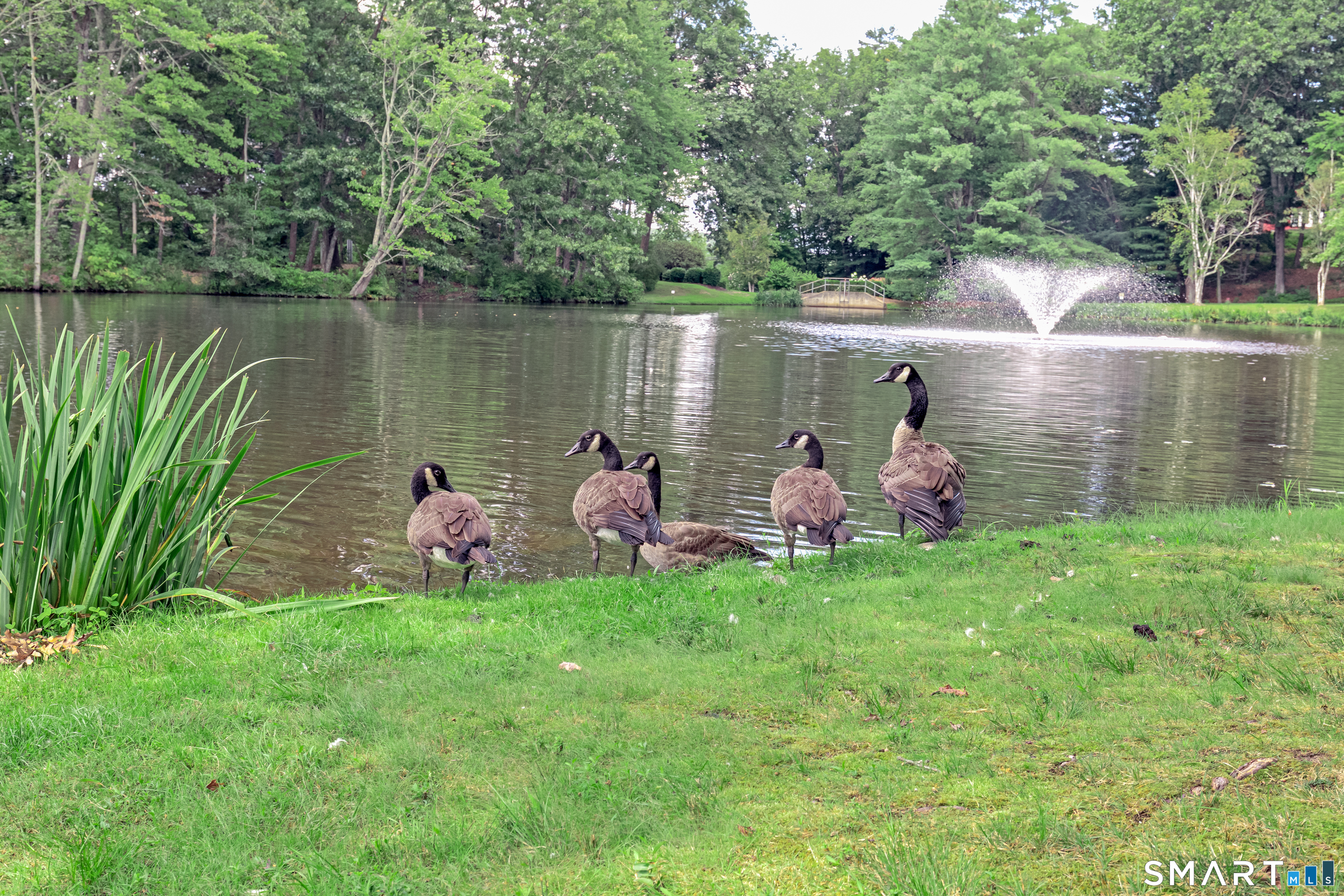 29th image of 47 Woods Wy #47, Woodbury, CT 06798 | MLS# 24198307