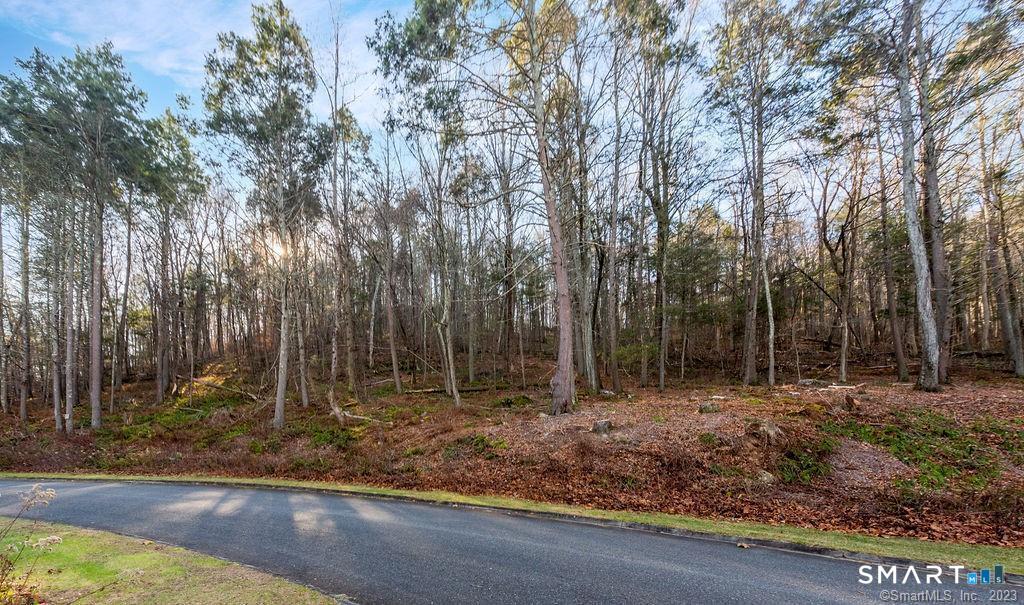 41 Long River Road photo 16