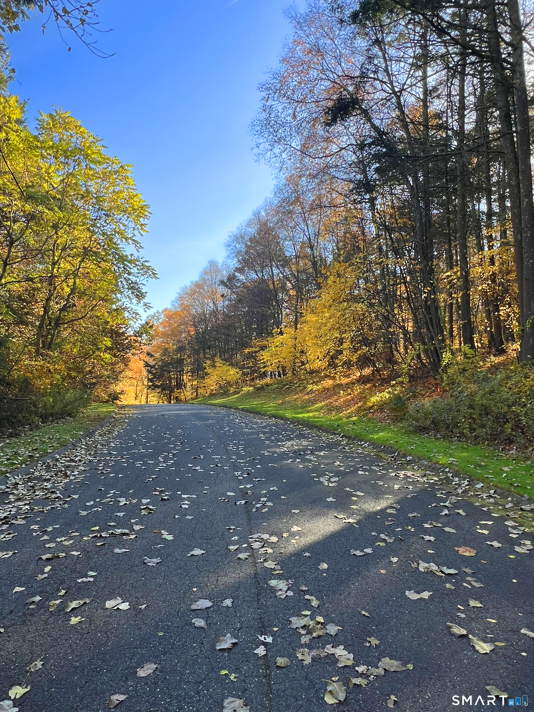 41 Long River Road photo 13