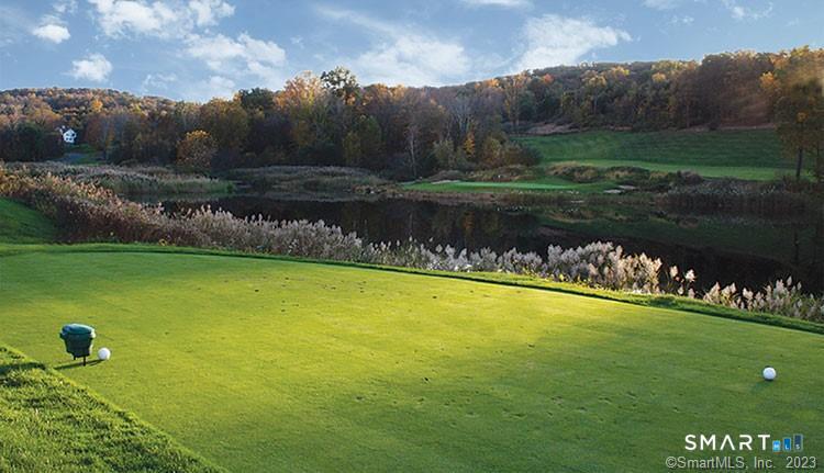 41 Long River Road photo 18