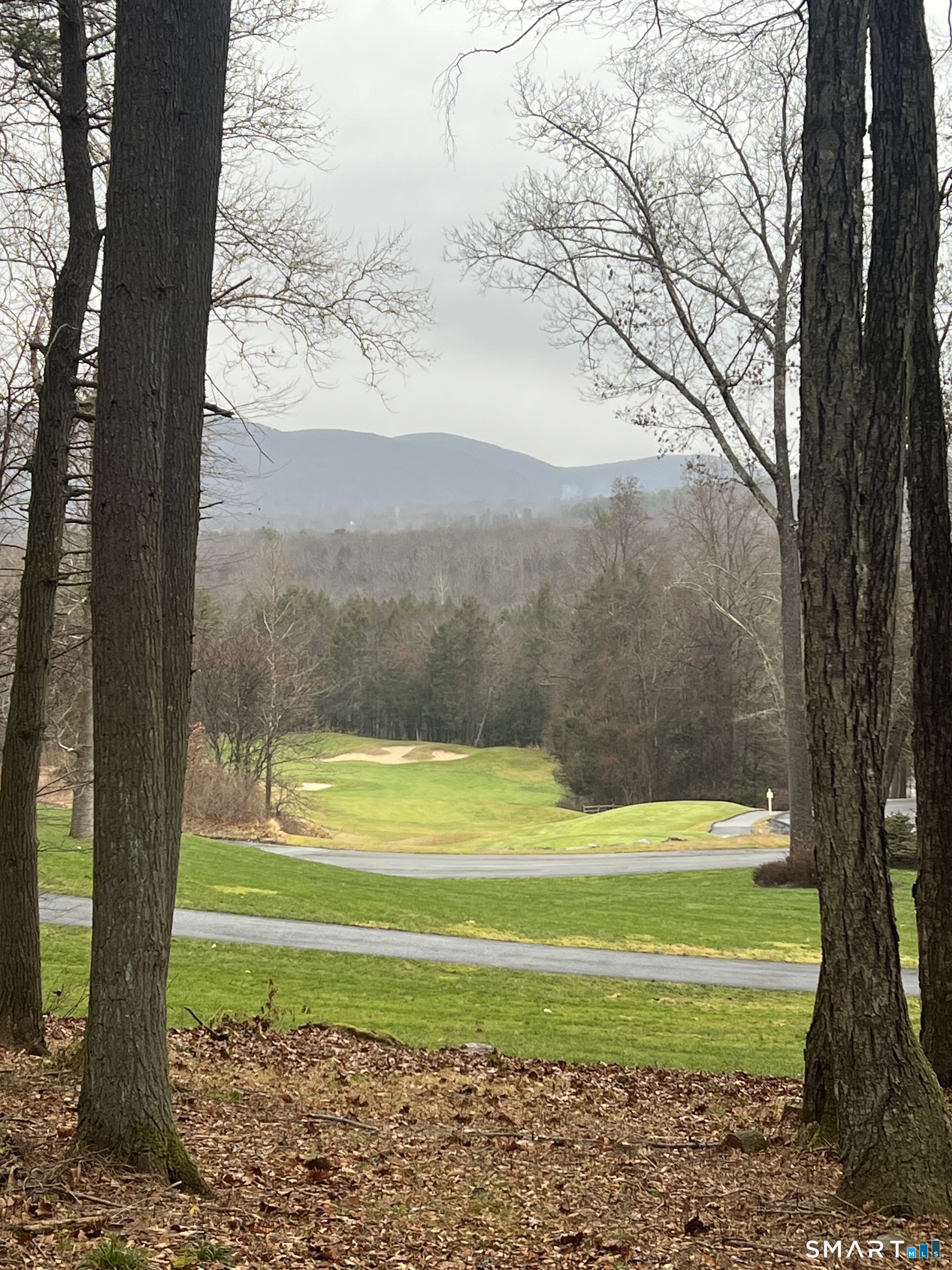41 Long River Road
