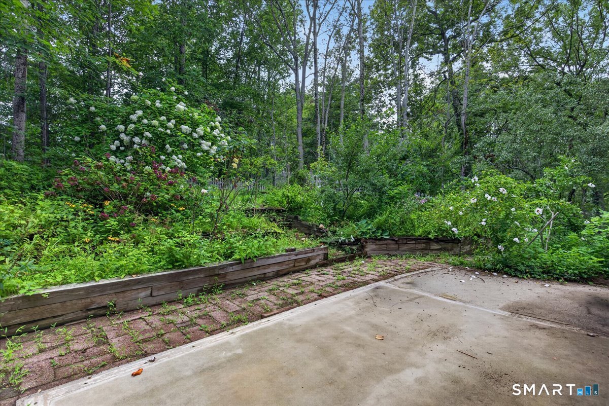 35 Aileen Drive photo 30