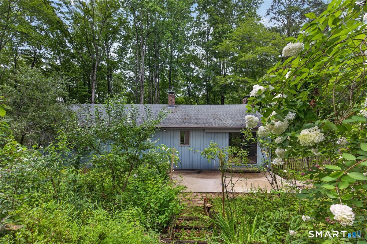 35 Aileen Drive photo 31