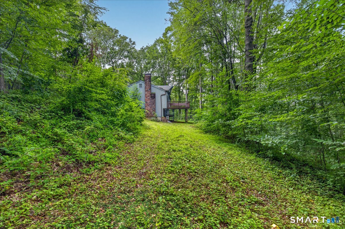 35 Aileen Drive photo 27