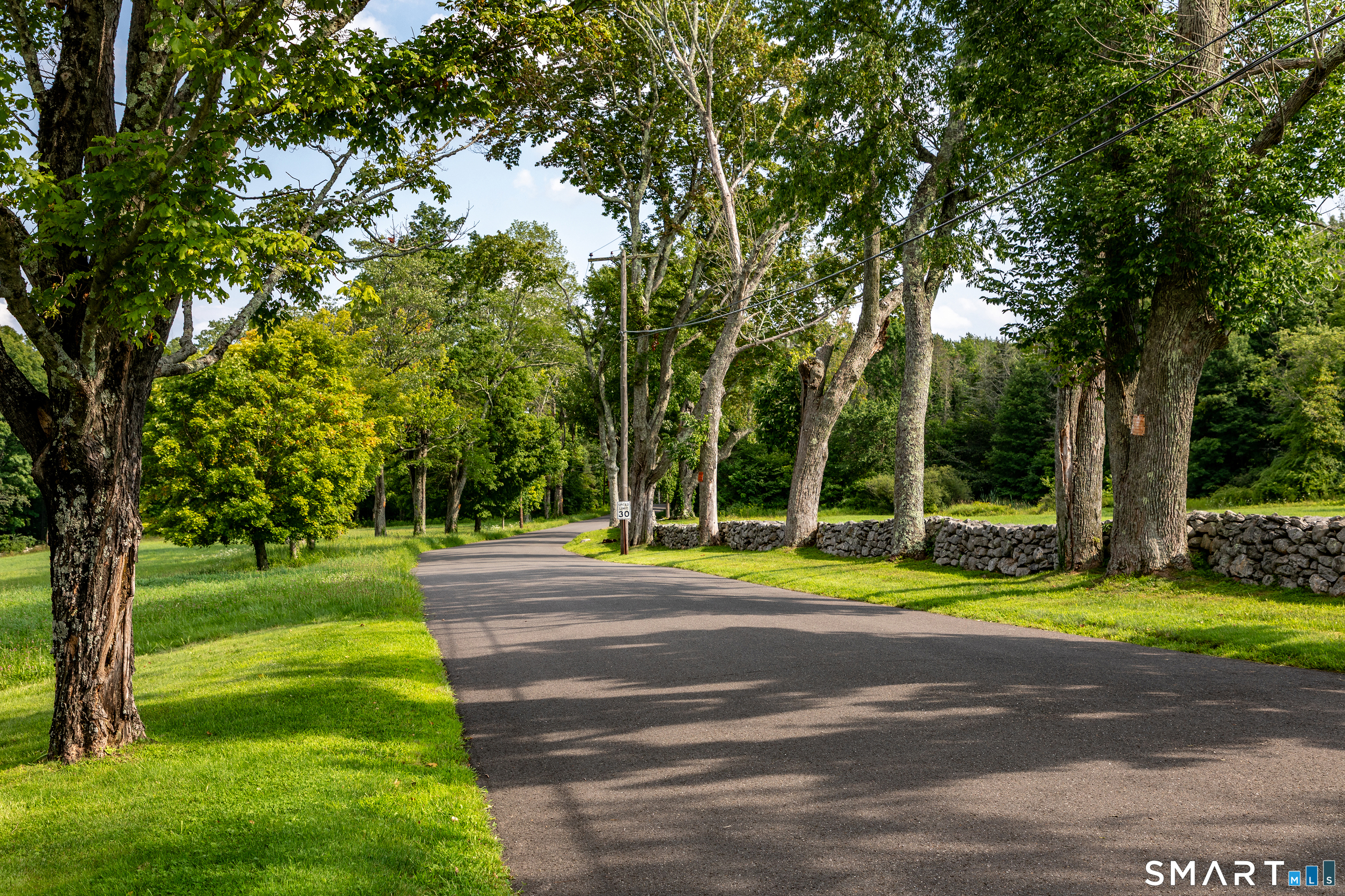 162 Hutchinson Parkway photo 35